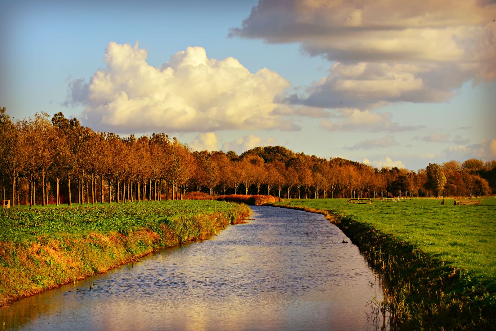 Nikon D750 sample photo. Canal, waterway, field photography