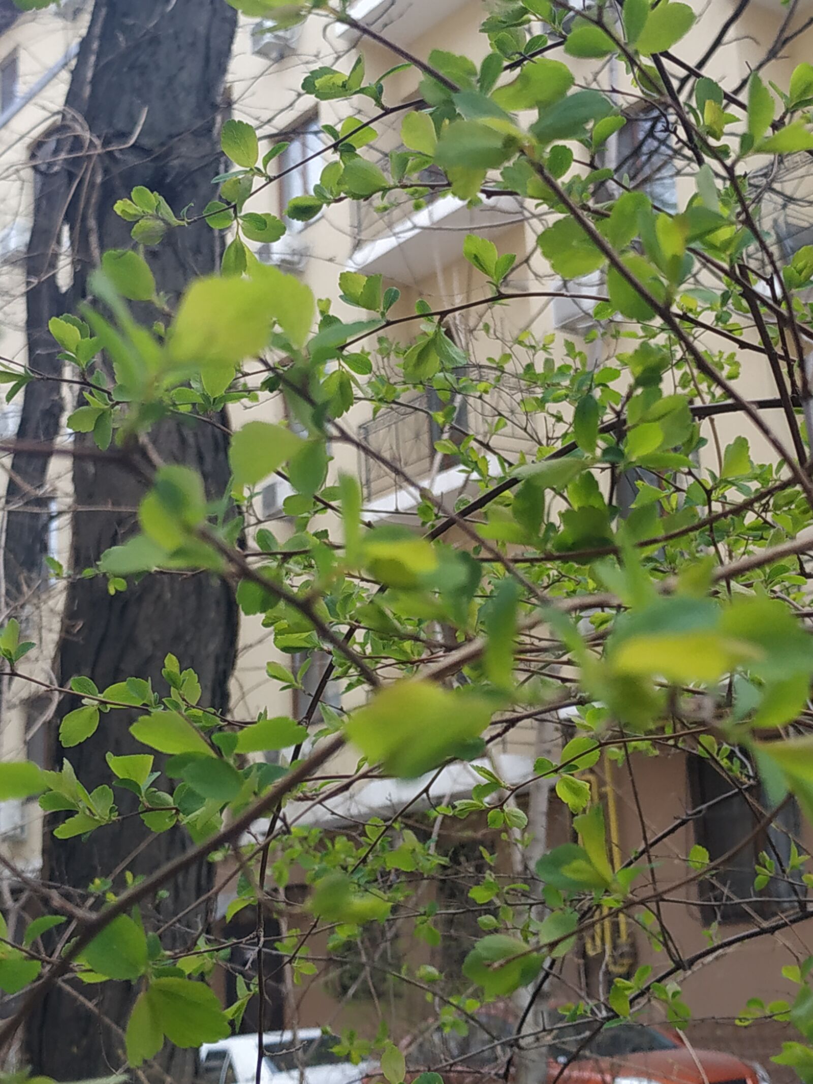 Xiaomi Redmi Note 5 sample photo. Spring in the city photography