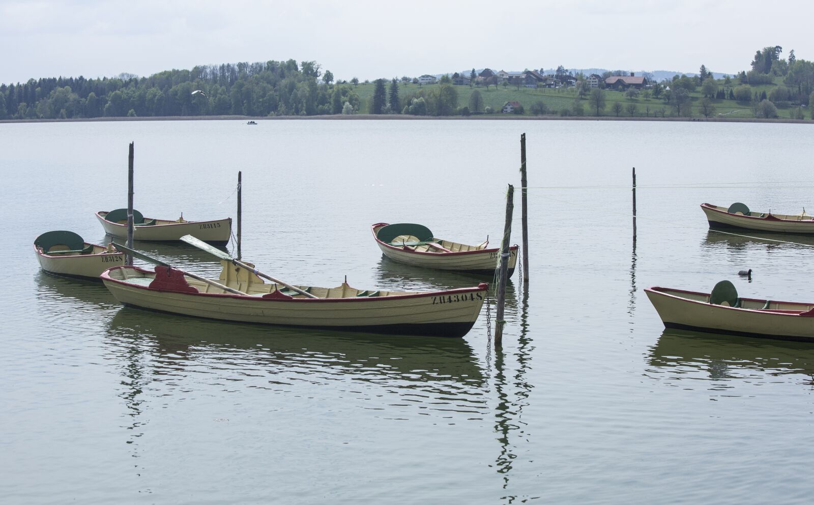 Canon EF 70-300mm F4-5.6 IS USM sample photo. Lake, nature, pfäffikersee photography