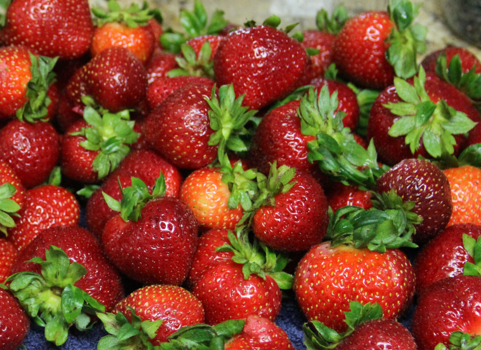 Canon EF 28-135mm F3.5-5.6 IS USM sample photo. Strawberries photography