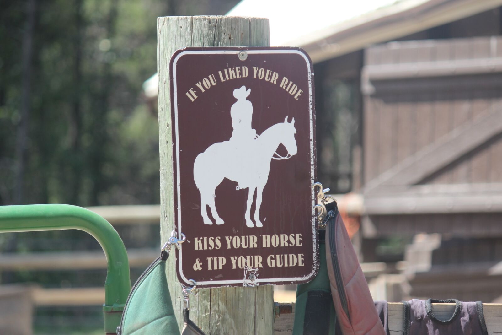Canon EF-S 55-250mm F4-5.6 IS sample photo. Horseback, yellowstone, cowboy photography