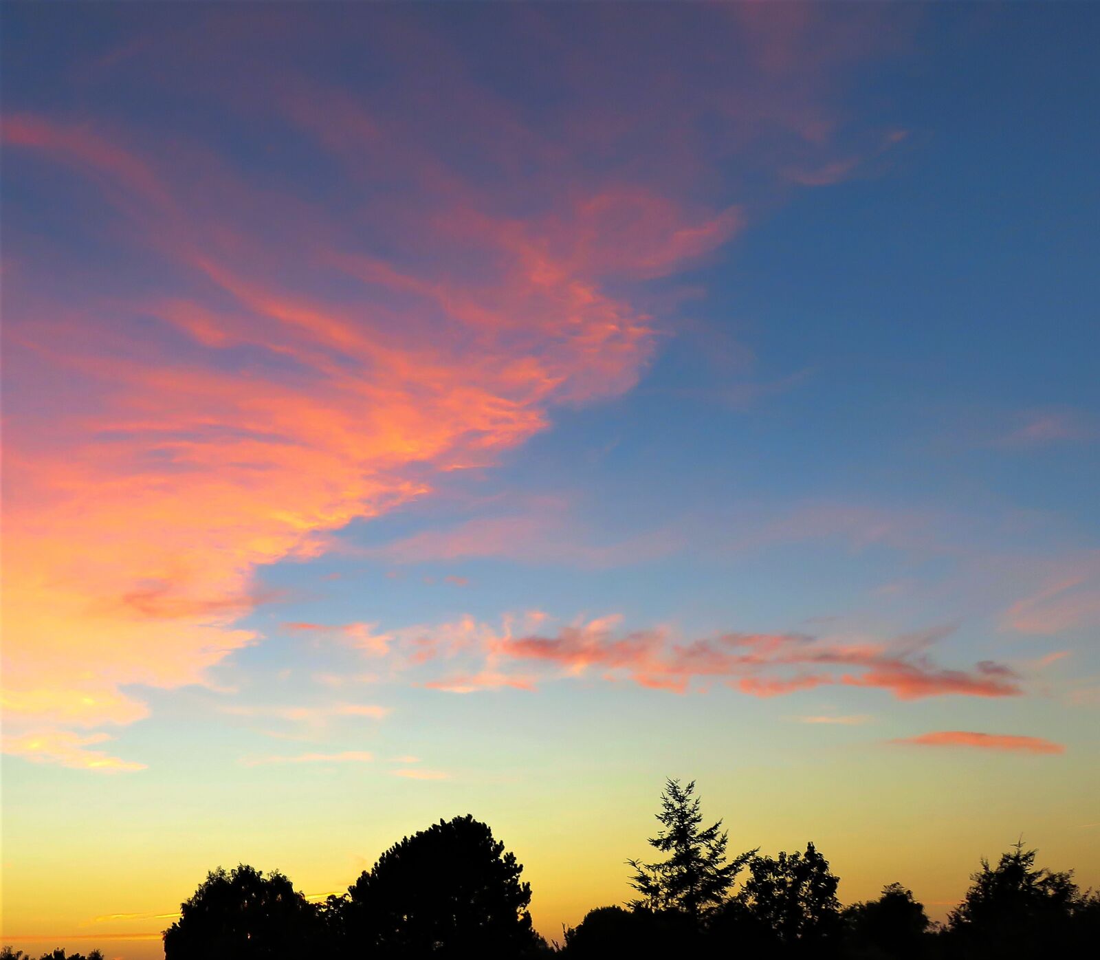 Canon PowerShot SX710 HS sample photo. Nature, afterglow, sunset photography