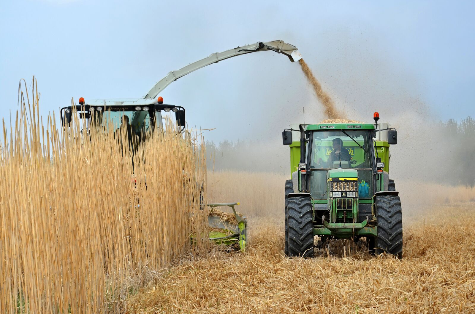 Nikon D5100 sample photo. Crop, tractor, elephant grass photography