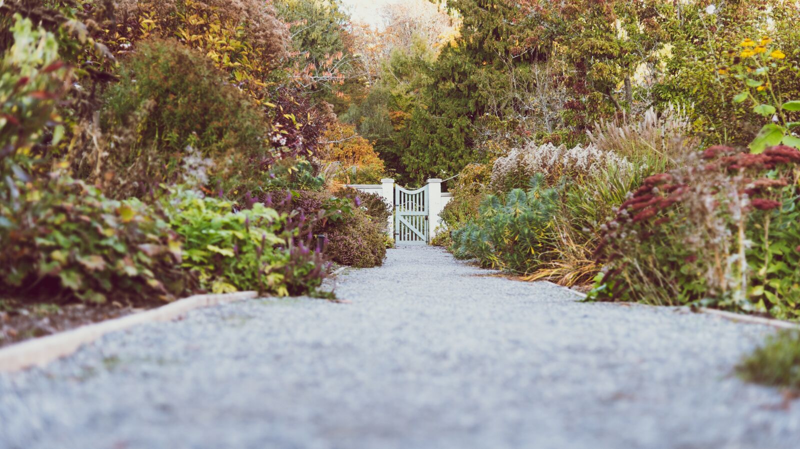 Nikon D750 sample photo. Botanical garden, fall, forest photography