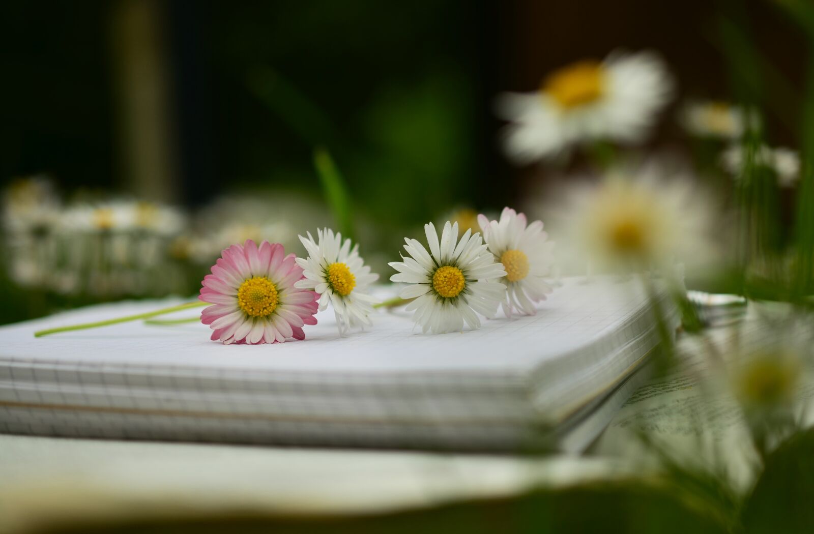 Nikon D5100 sample photo. Notebook, book, book pages photography