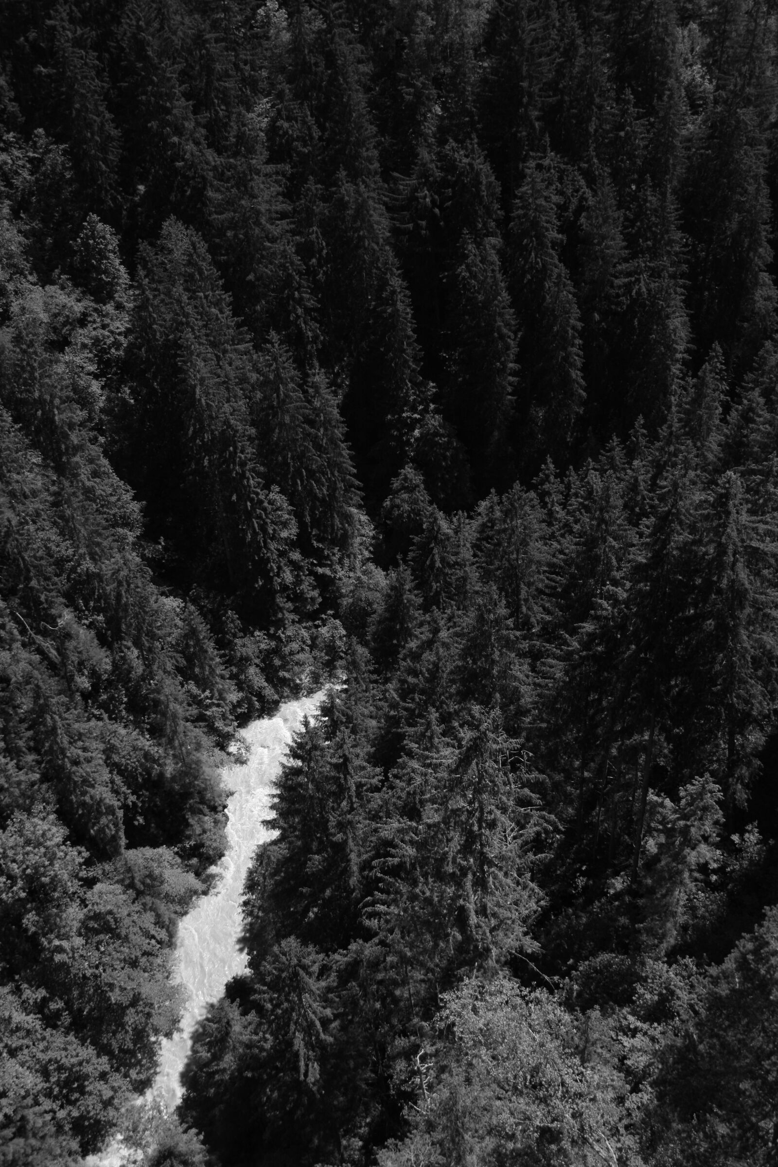 Canon EOS 400D (EOS Digital Rebel XTi / EOS Kiss Digital X) sample photo. River, bird's eye view photography