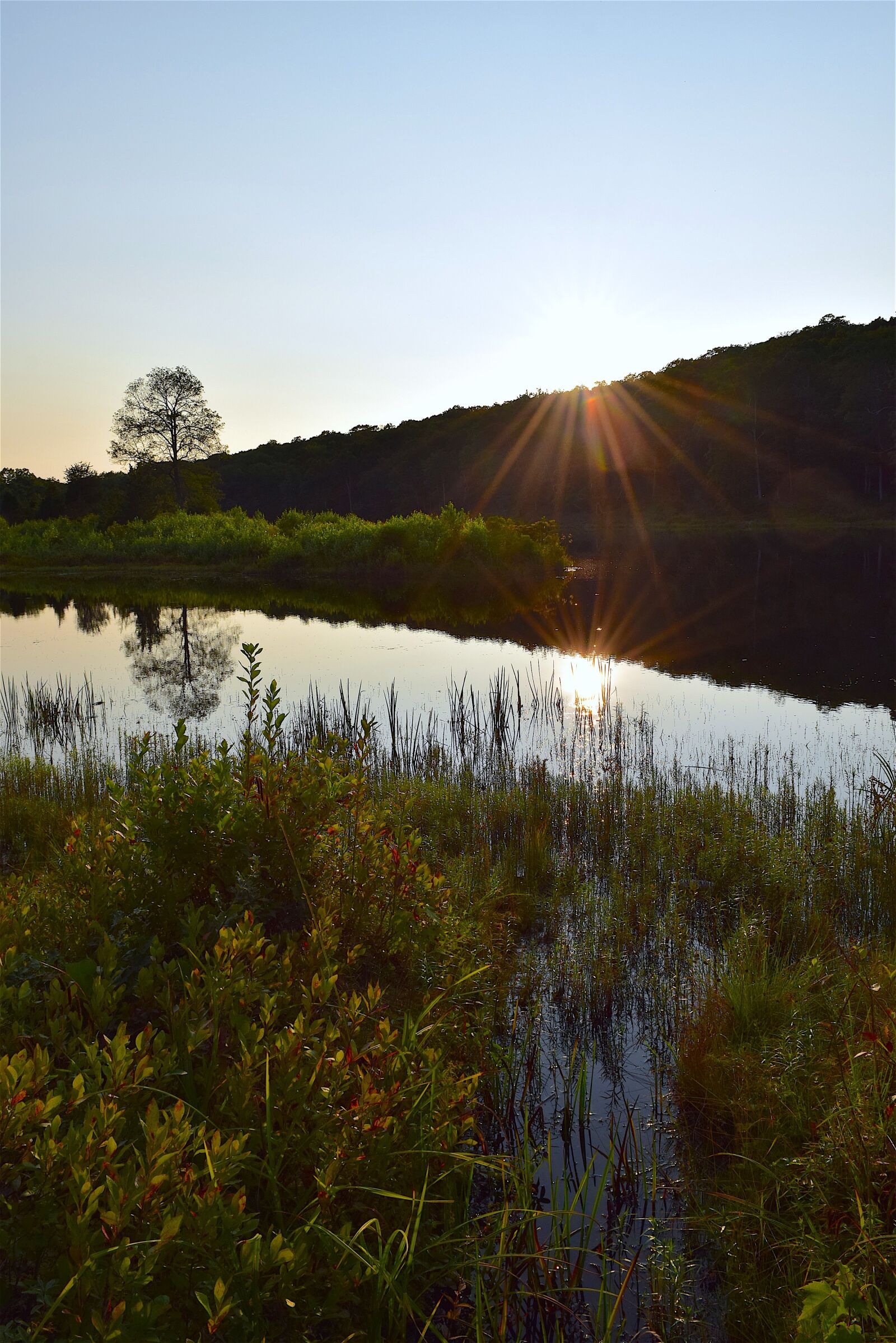 Nikon D3300 sample photo. Lake, reflection, park photography