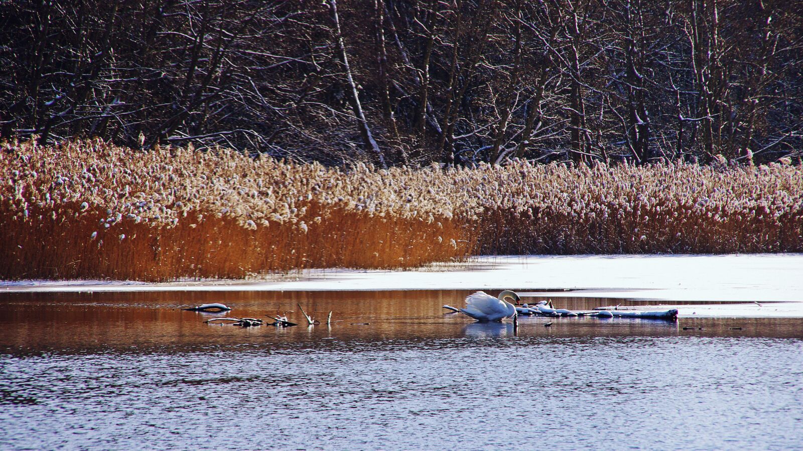 Sigma 18-200mm F3.5-6.3 DC sample photo. Ice, lake, nature, snow photography