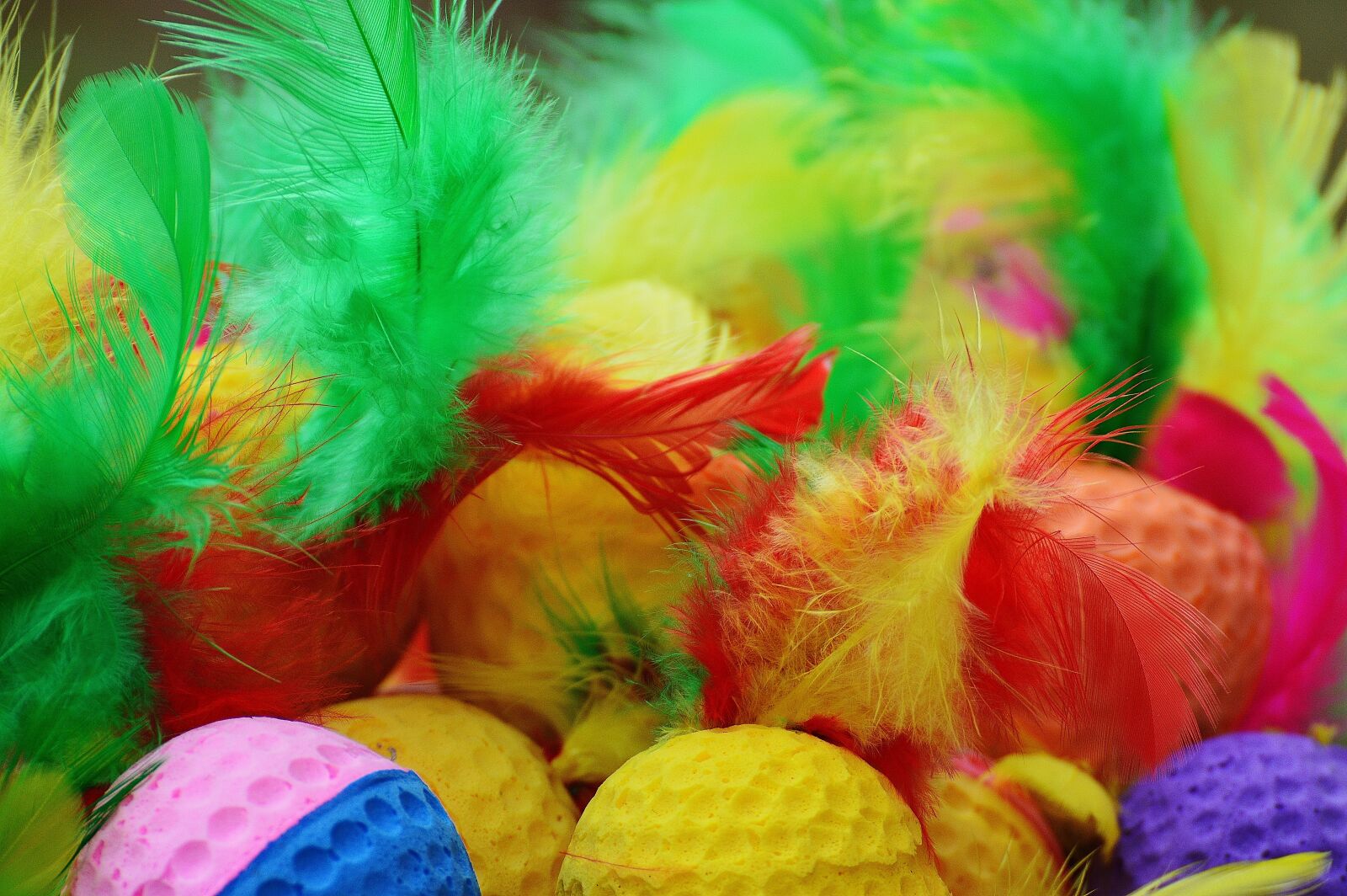 Nikon D3200 sample photo. Foam balls, feather, colorful photography