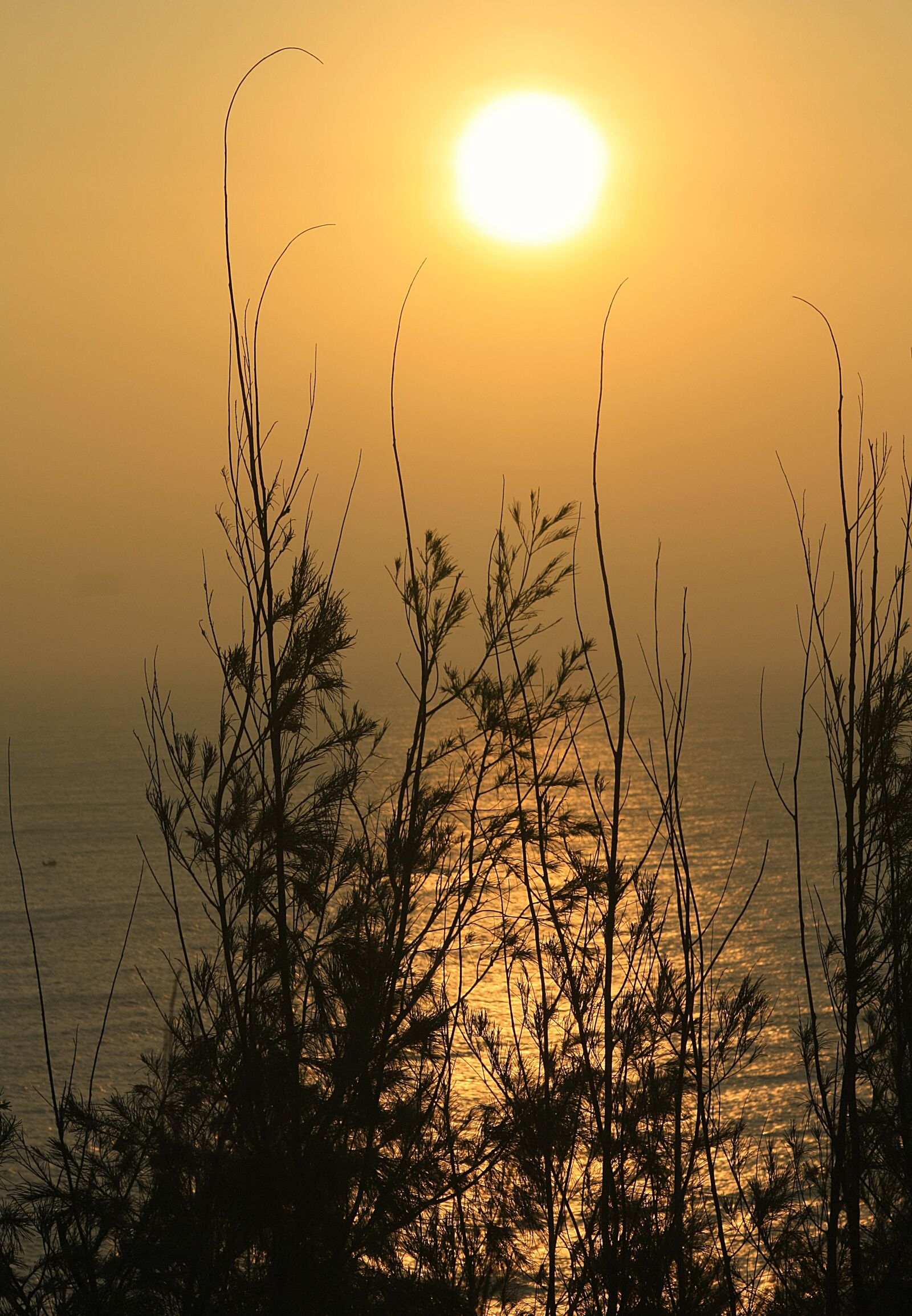 Canon EOS 450D (EOS Rebel XSi / EOS Kiss X2) sample photo. Dawn, sun, sunrise photography
