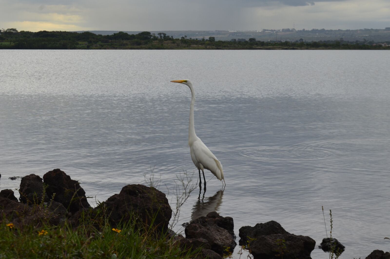 Nikon D5100 sample photo. Brasilia, lake paranoá, eventide photography
