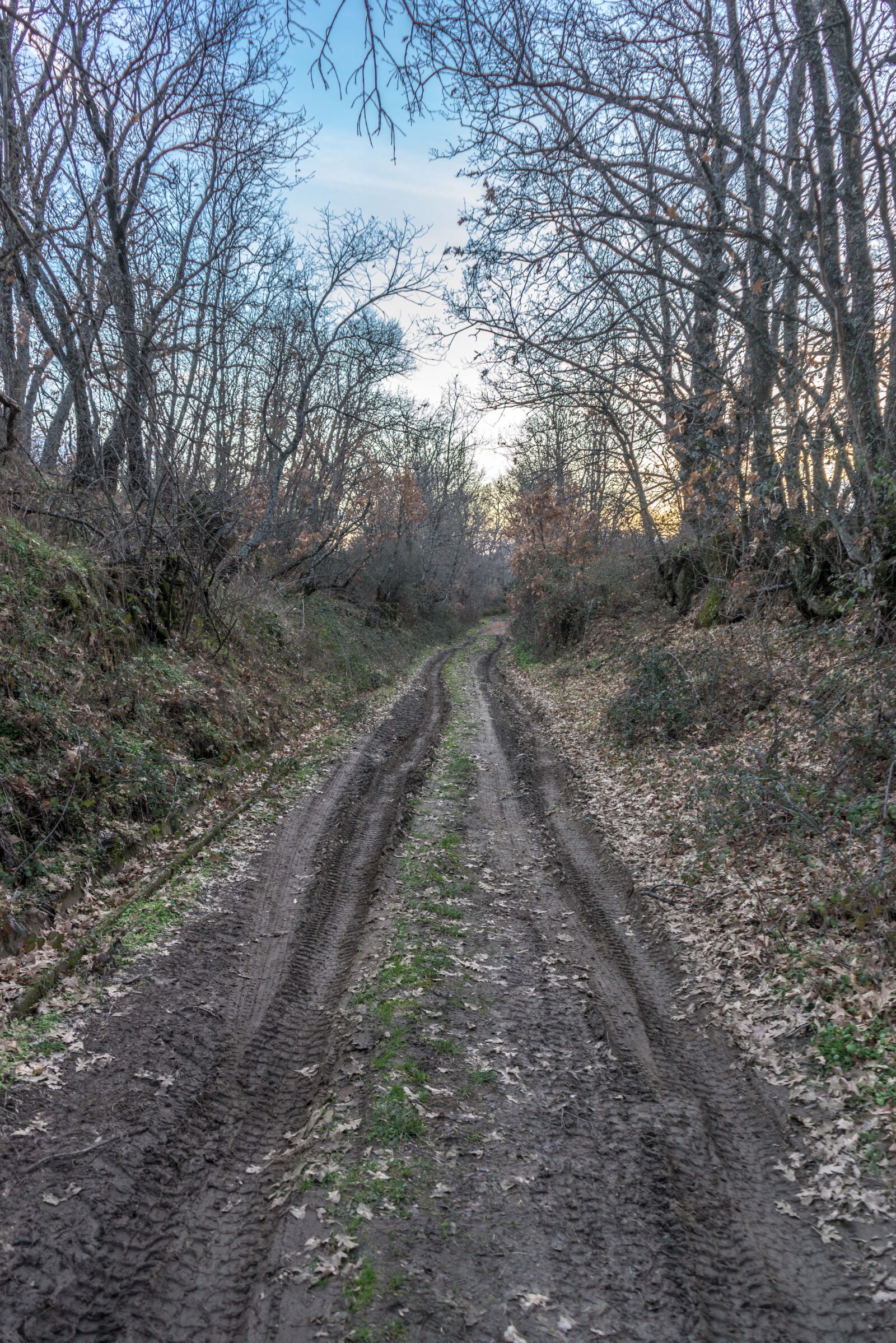 Sony a7R + Sony FE 28-70mm F3.5-5.6 OSS sample photo. Path, the end, mud photography