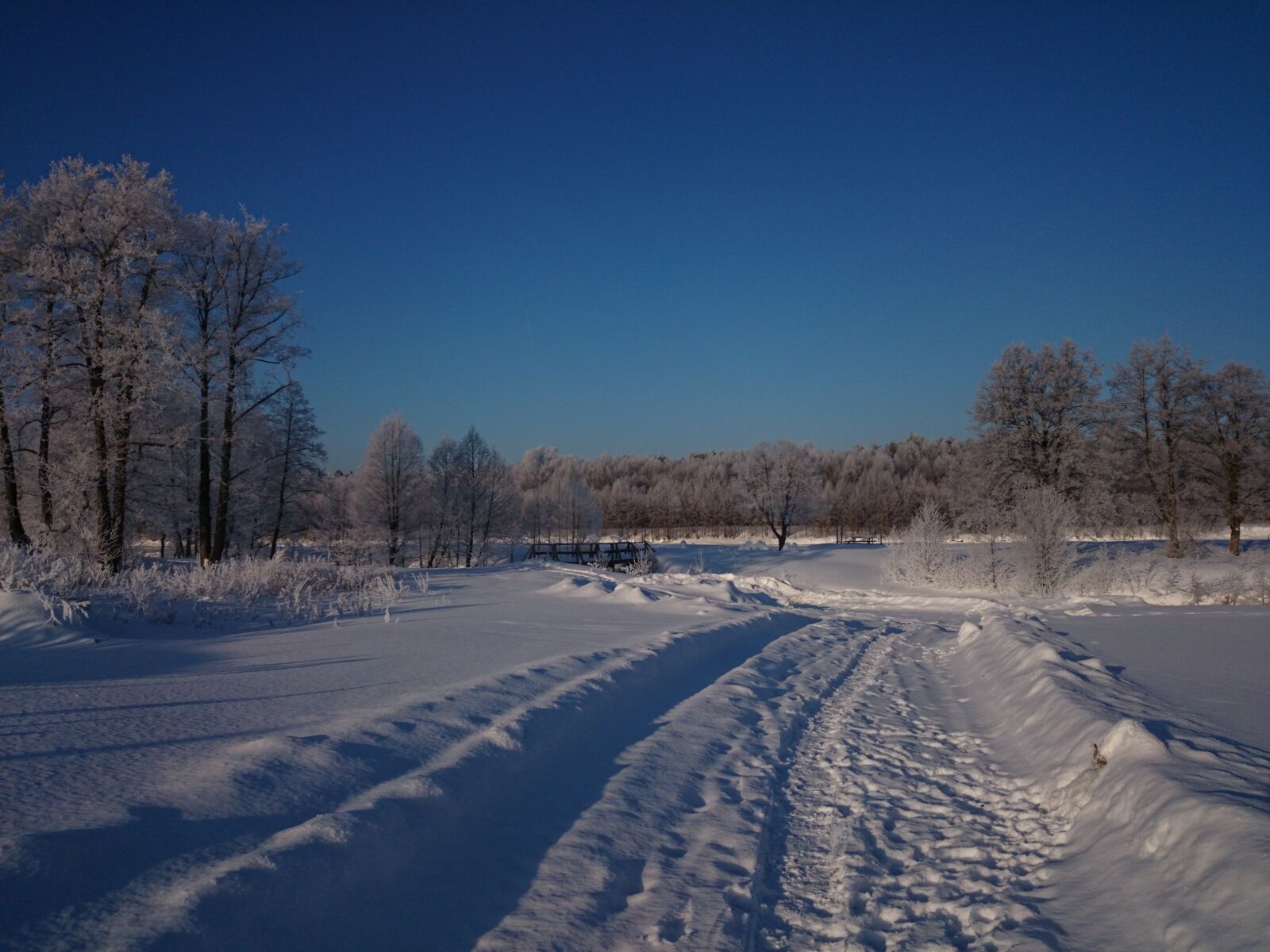 Sony Xperia Z1 Compact sample photo. Winter, landscape, forest photography