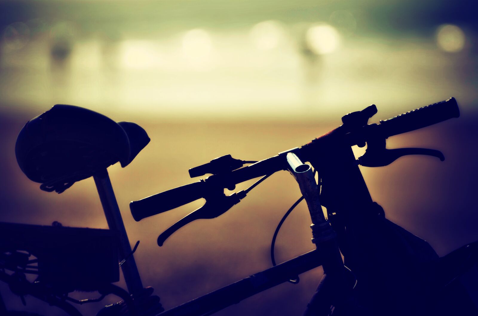Nikon D7000 sample photo. Bicycle, sunset, beach photography