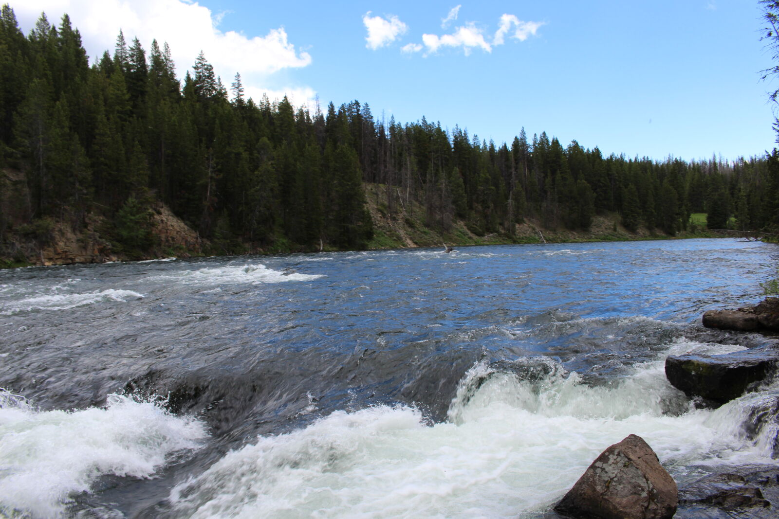 Canon EOS 700D (EOS Rebel T5i / EOS Kiss X7i) sample photo. Forest, river photography