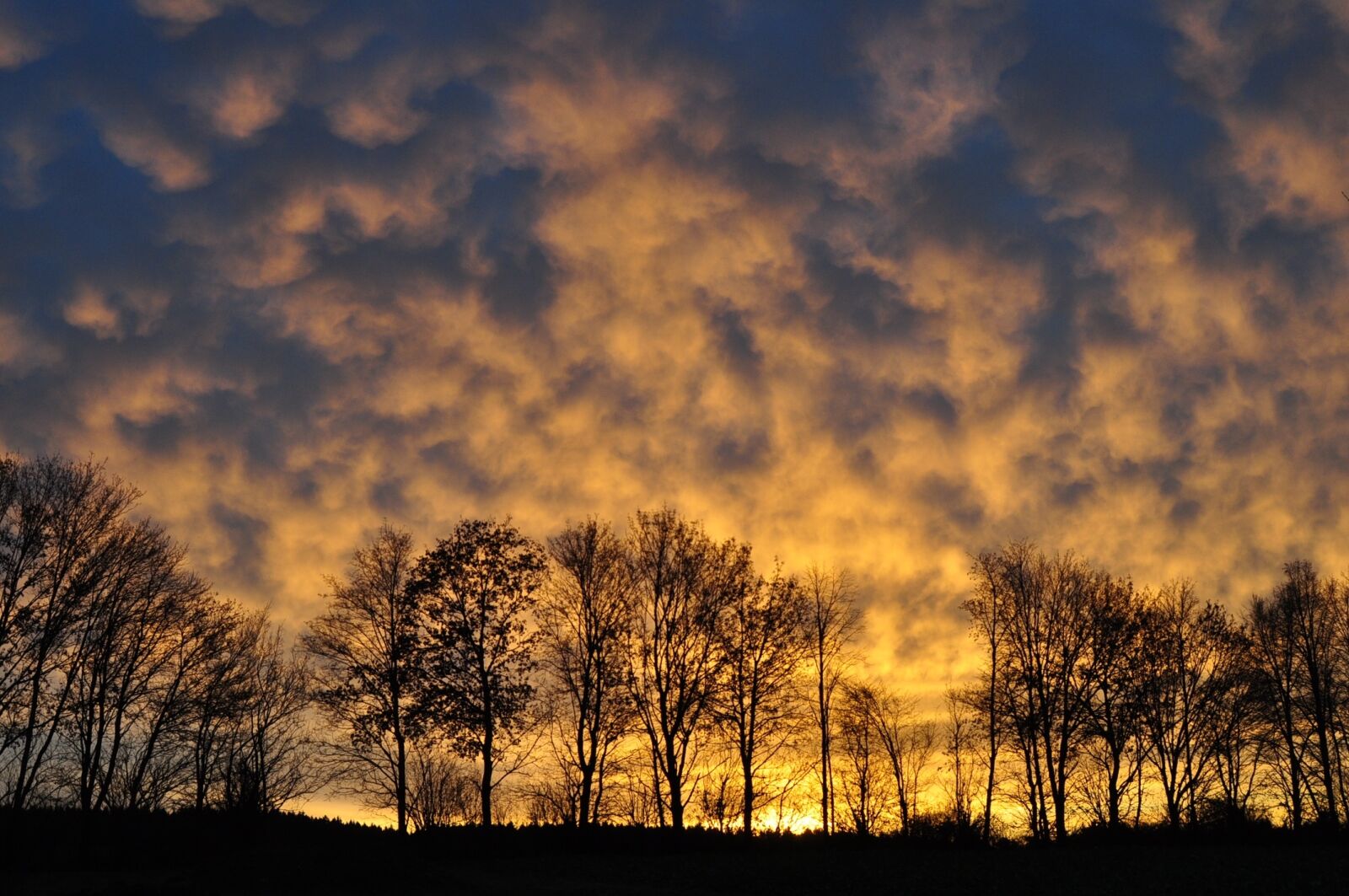 Nikon D90 sample photo. Trees, sky, clouds photography