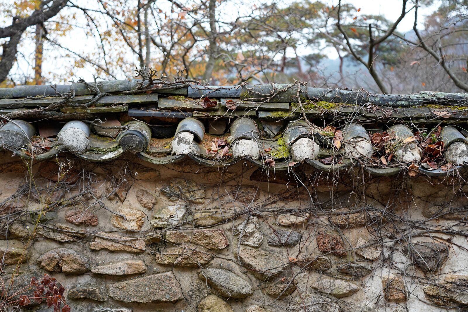 Sony FE 24-105mm F4 G OSS sample photo. Korea, temple, section photography