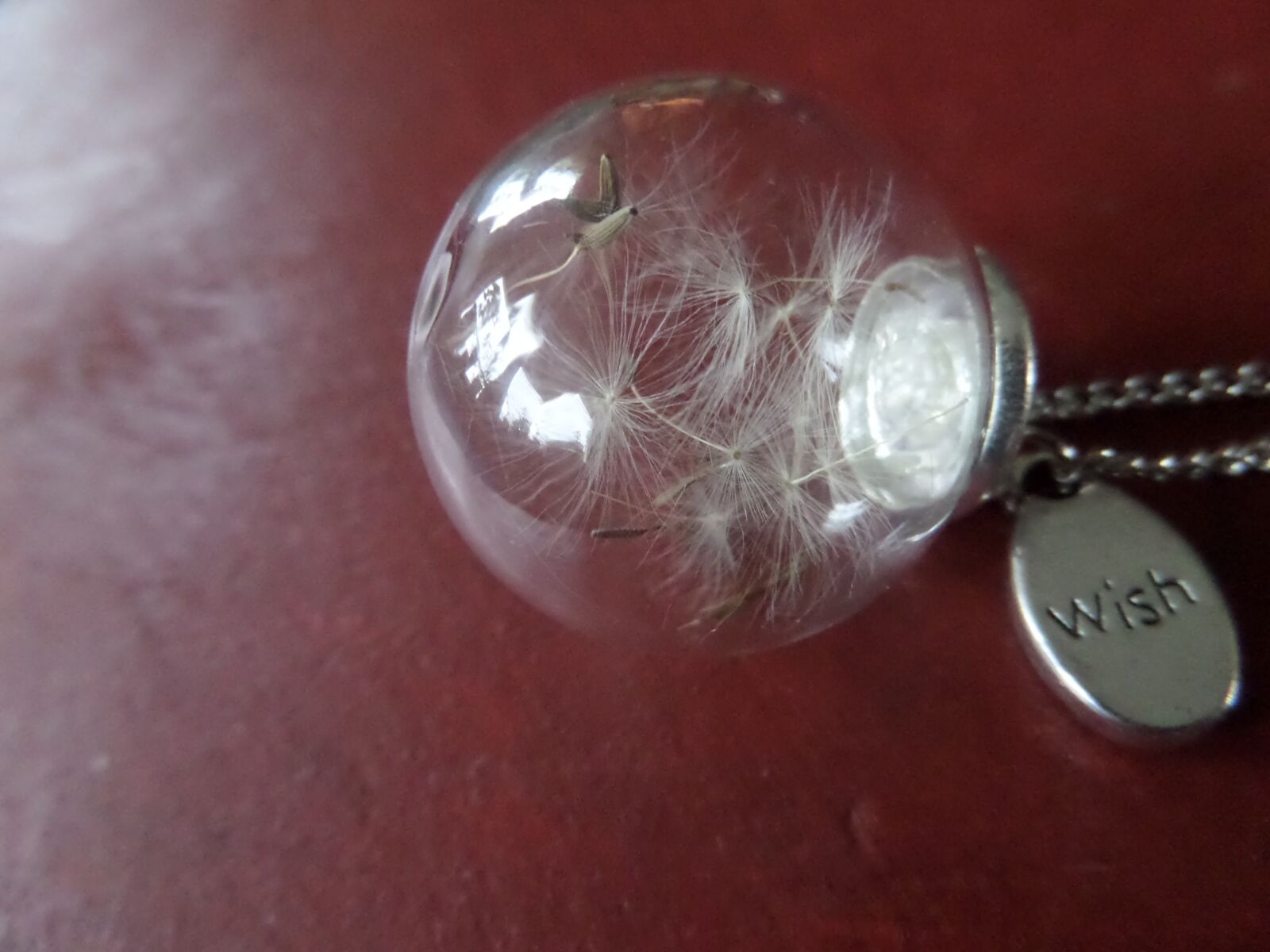 Samsung WB200F/WB201F/WB202F sample photo. Desire, dandelion, jewellery photography