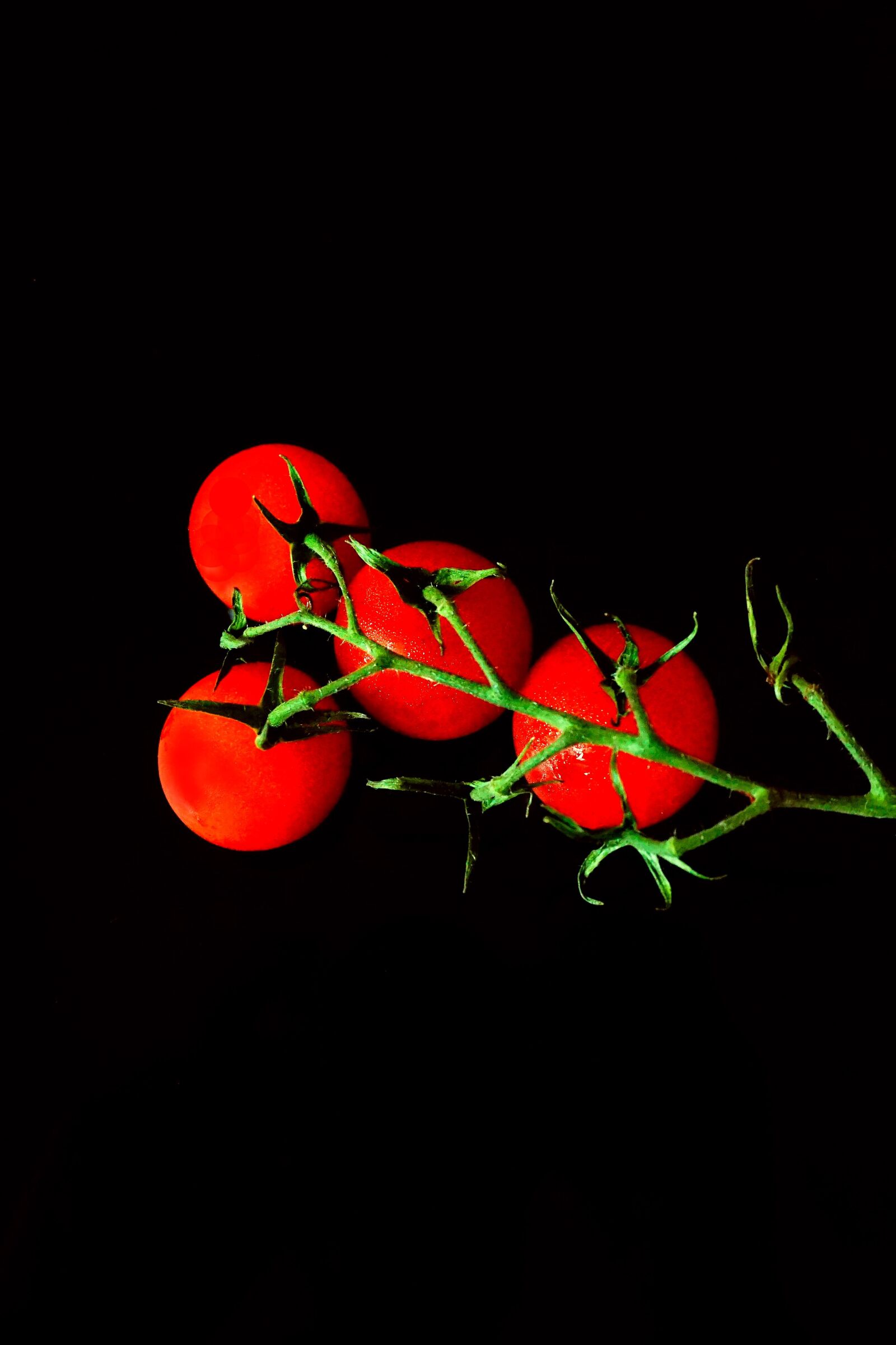 Sony a6000 sample photo. Tomatoes, red, vegetables photography