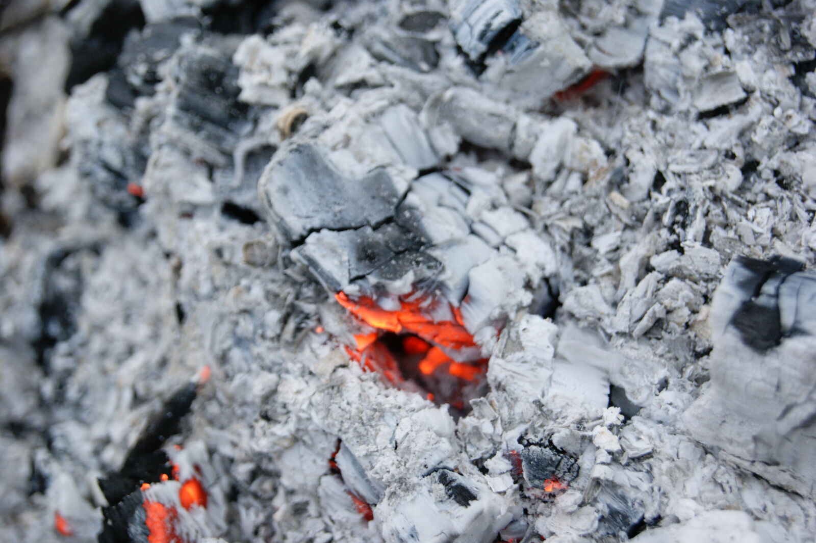 Sony Alpha DSLR-A390 sample photo. Ash, bonfire, charcoal, cinder photography