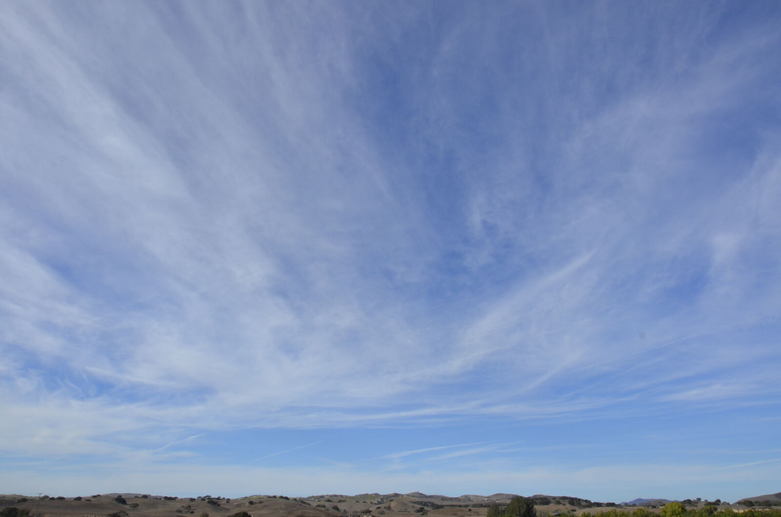Nikon D7000 sample photo