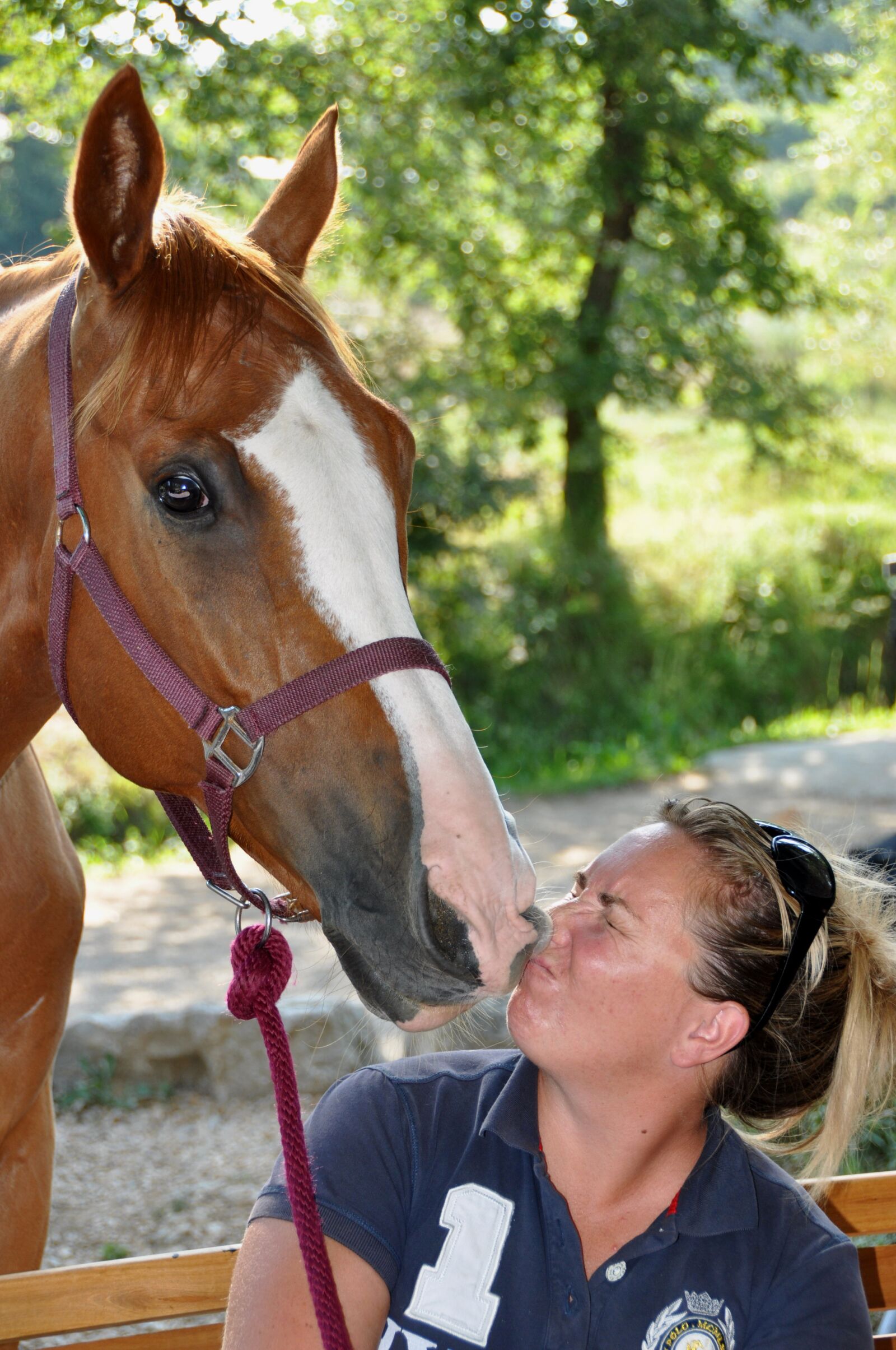 Nikon D90 sample photo. Horse, head, look photography