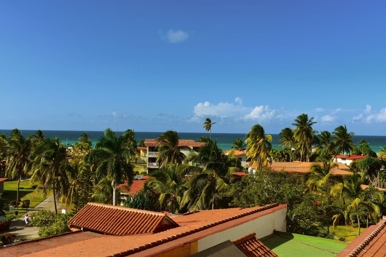 Nikon D3400 sample photo. Cuba, palm trees, view photography