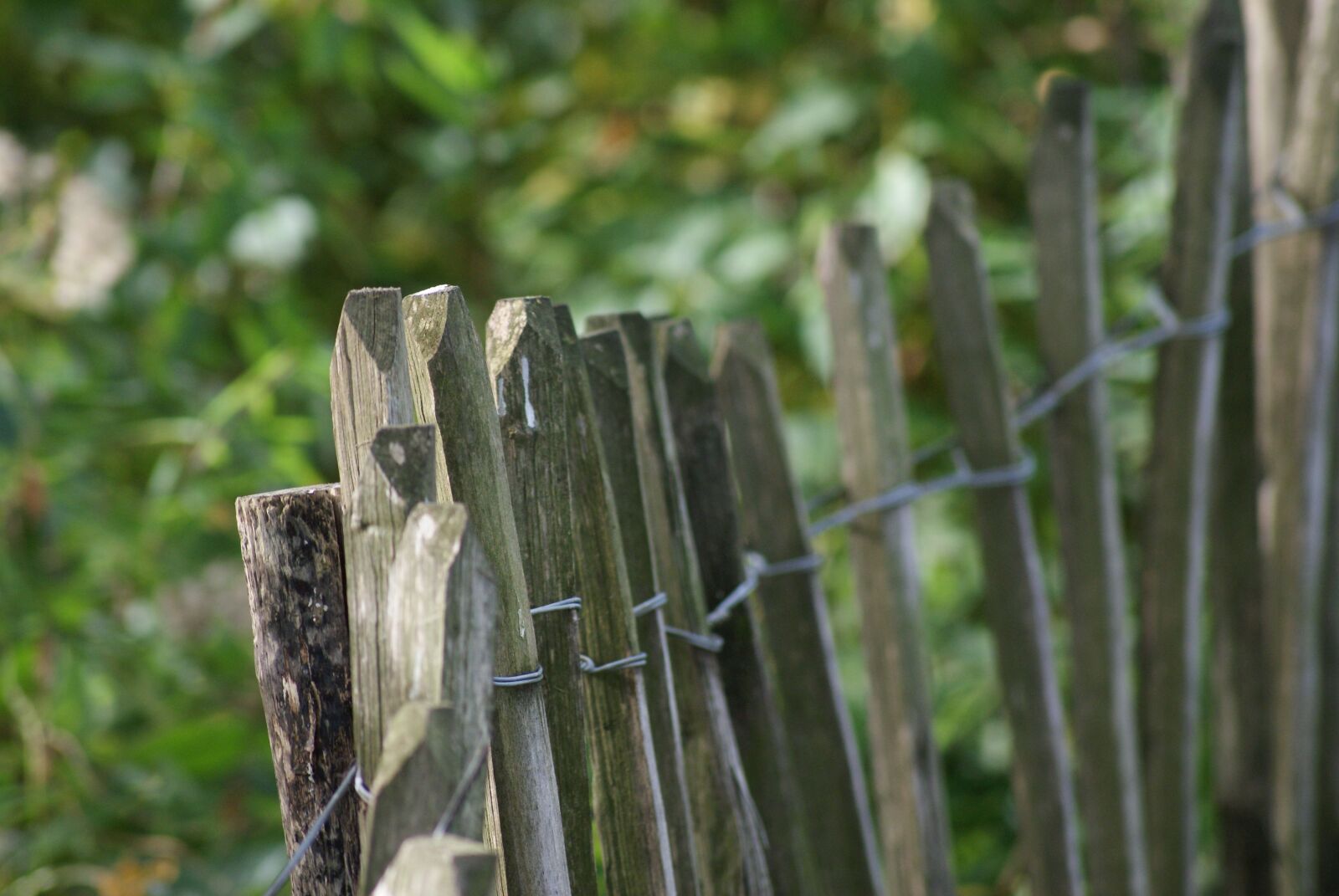 Sony Alpha DSLR-A200 sample photo. Wood fence, fence, weathered photography