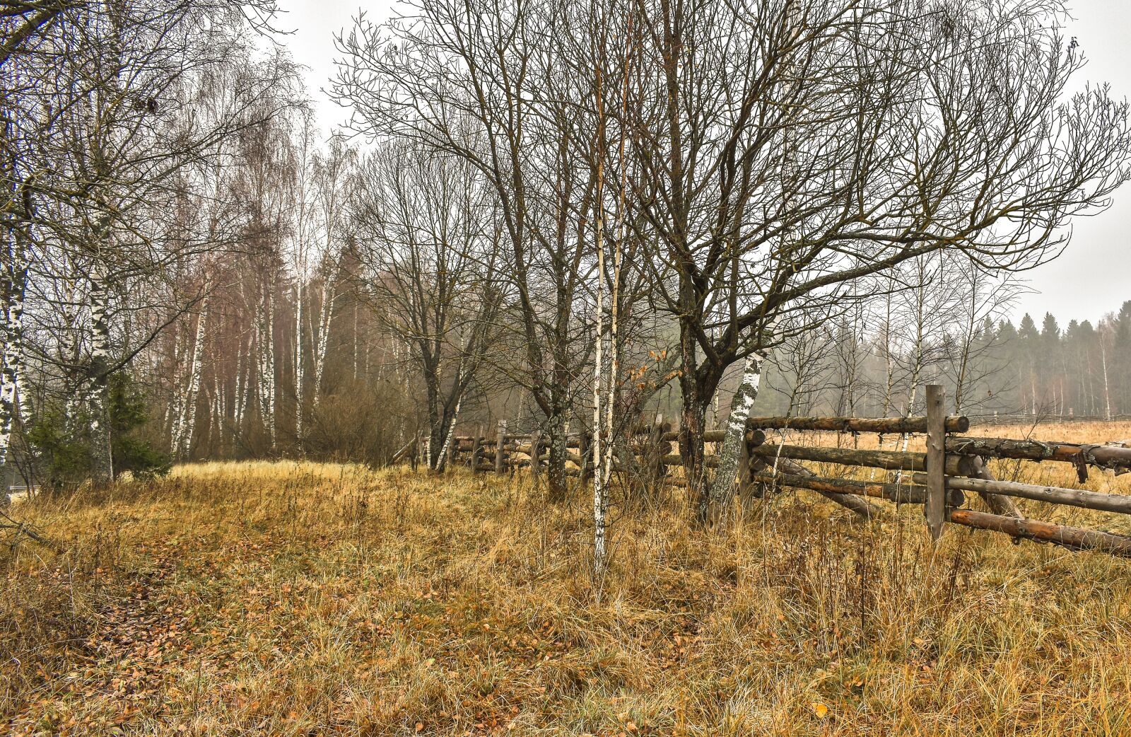Nikon D5500 sample photo. Landscape, nature, autumn photography