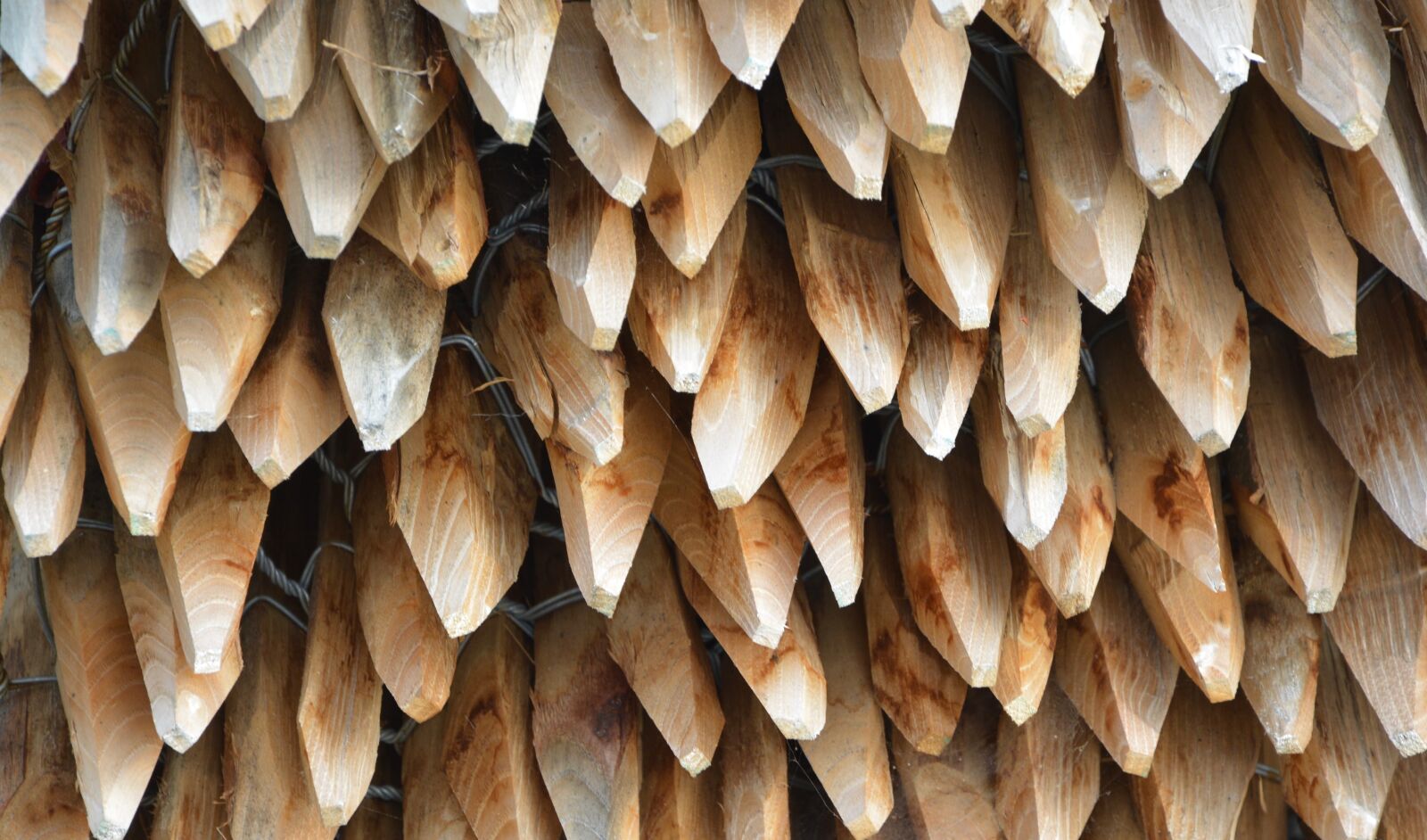Nikon D5200 sample photo. Poles of wood stacked photography