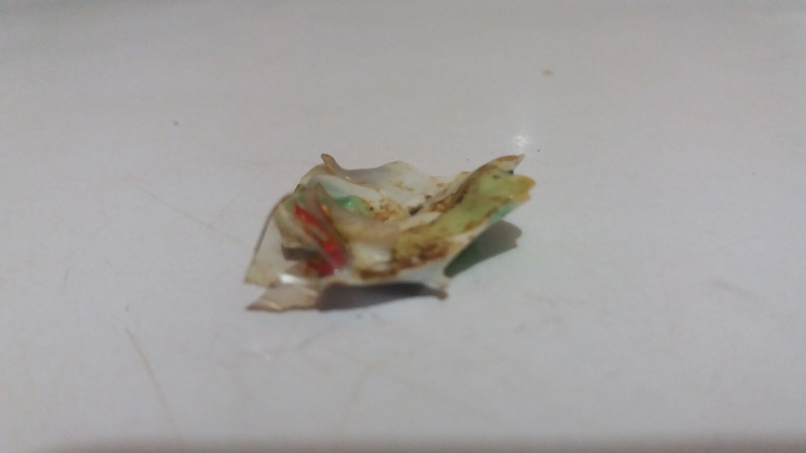 Samsung Galaxy J5 sample photo. Plastico, plastics, botella photography