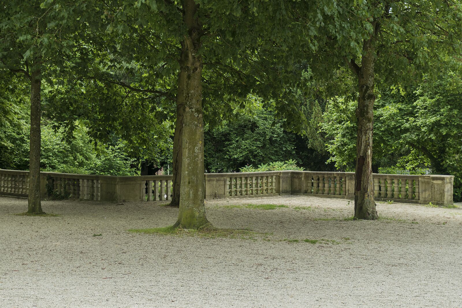 Nikon D5300 sample photo. Landscape, park, tree photography