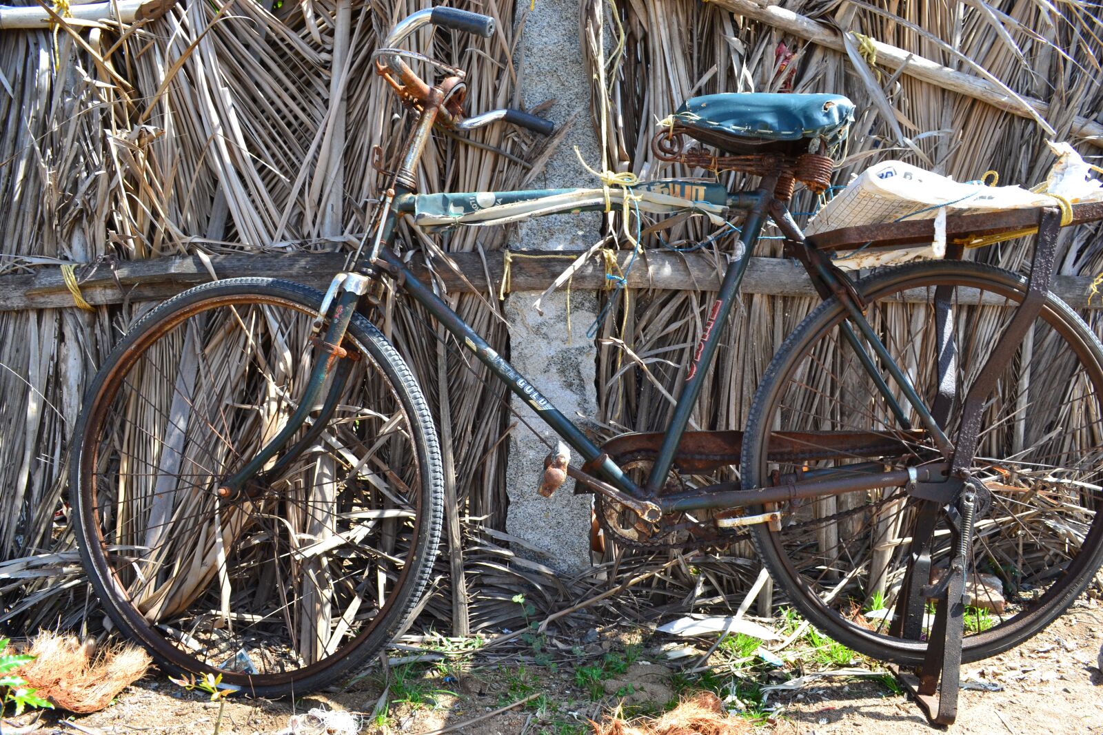 Nikon D3100 sample photo. India, cycle, rust photography
