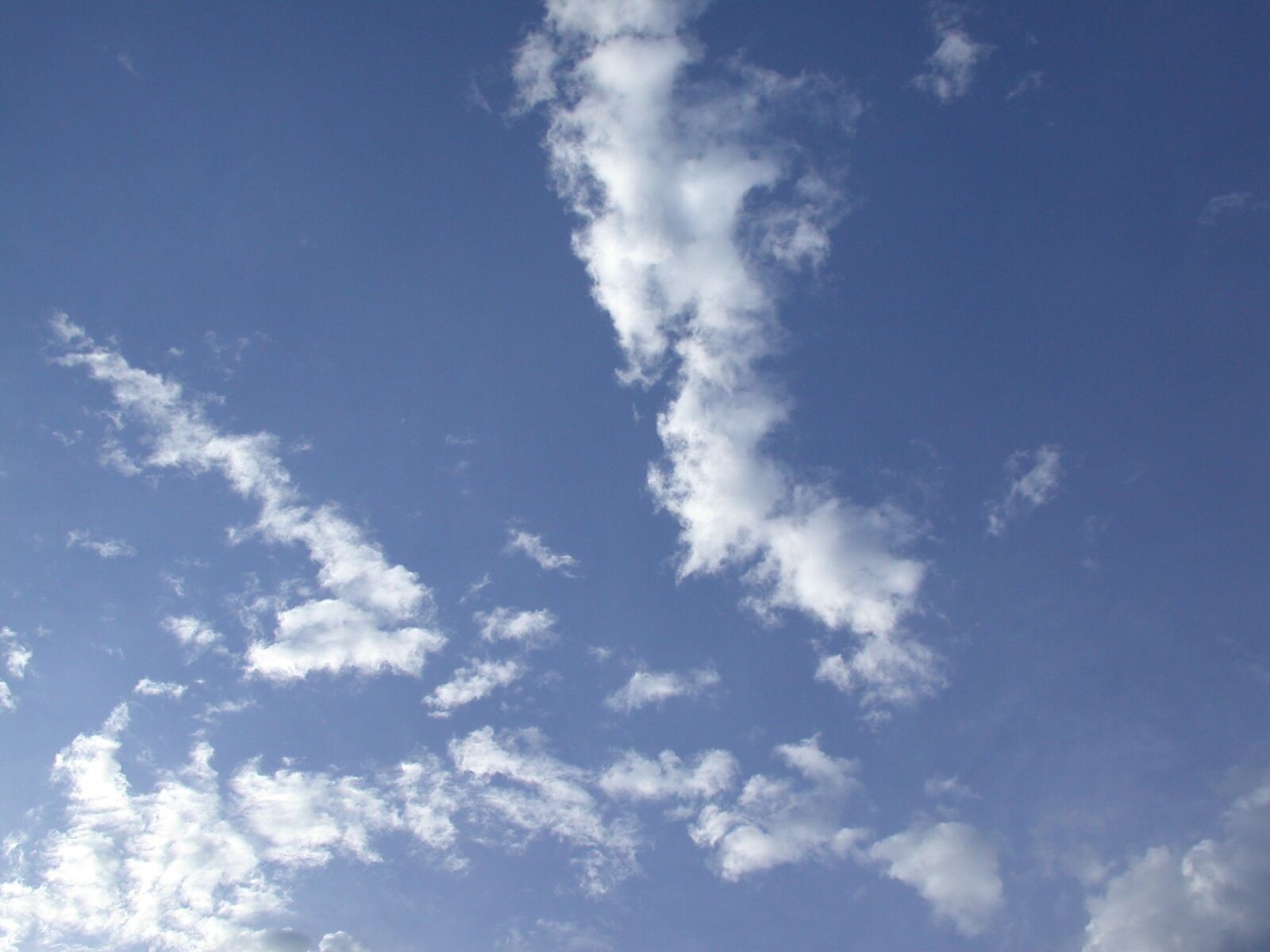 Nikon E995 sample photo. Clouds, white, sky photography