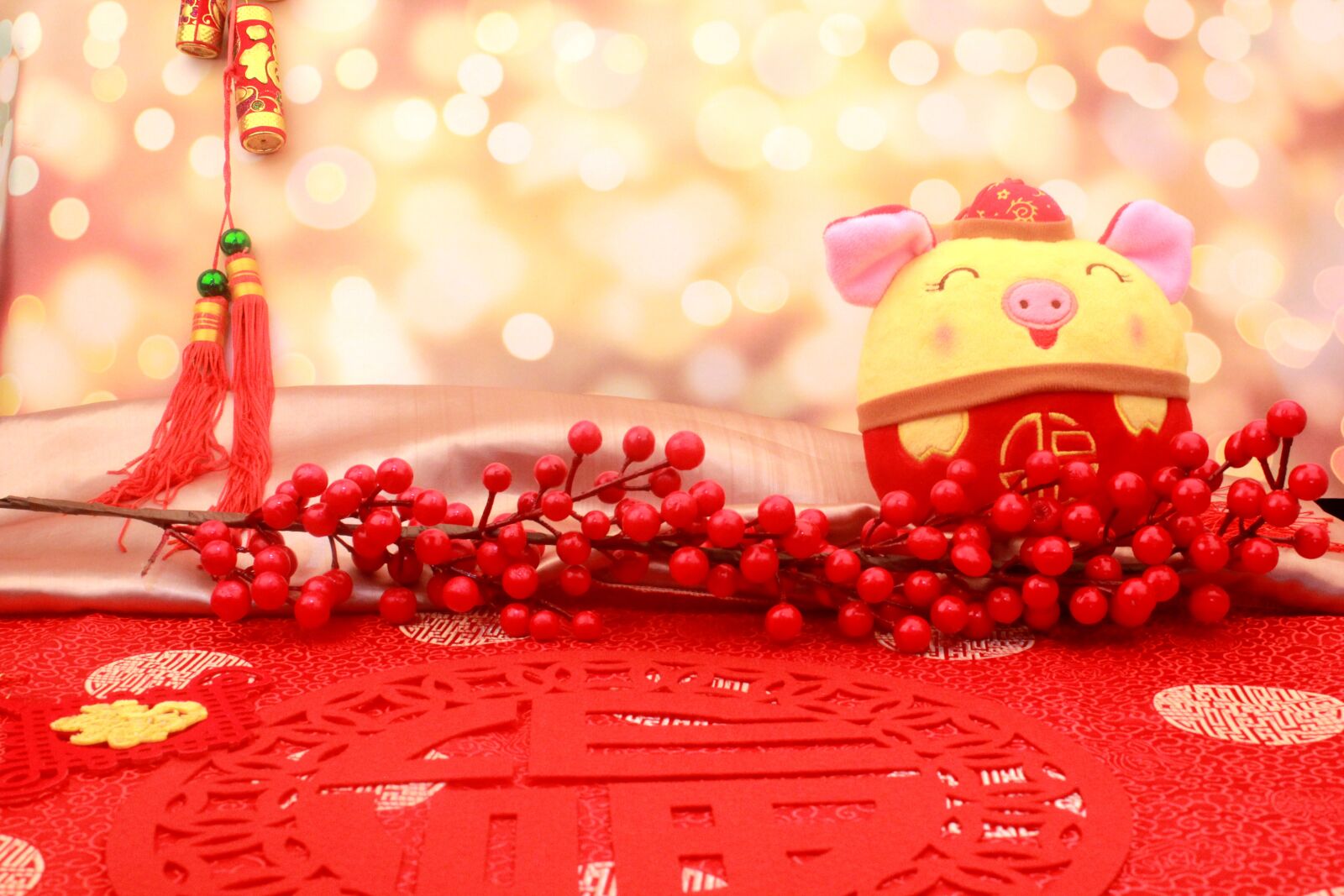 Canon EOS 550D (EOS Rebel T2i / EOS Kiss X4) sample photo. Firecracker, chinese new year photography
