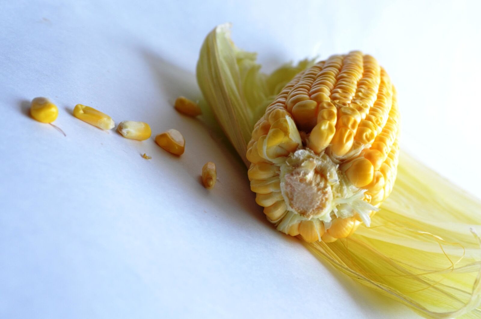 Nikon D5100 sample photo. Corn, seed, food, yellow photography