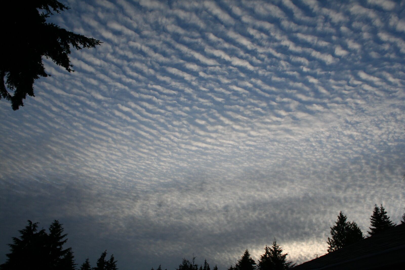 Canon EOS 350D (EOS Digital Rebel XT / EOS Kiss Digital N) sample photo. Cool clouds, sky, nature photography