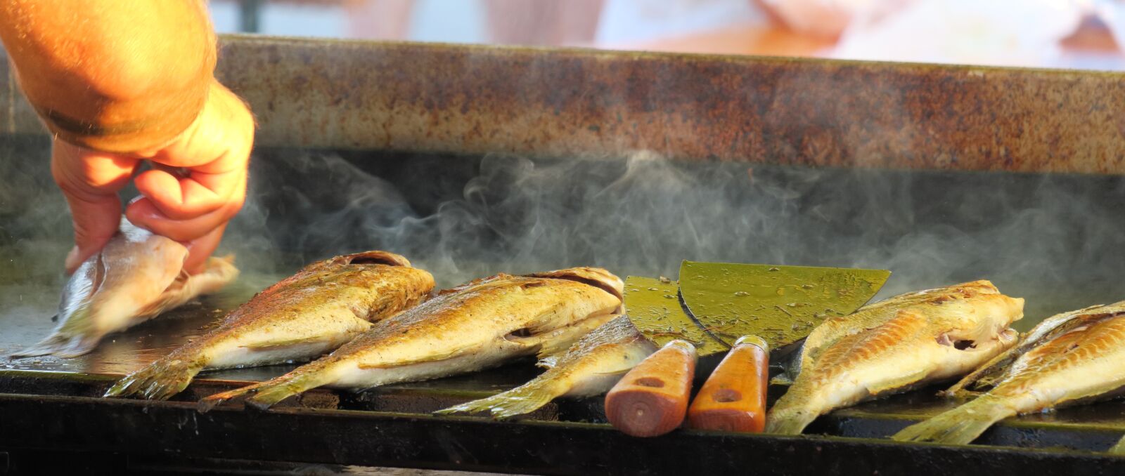 Canon PowerShot G3 X sample photo. Fish, grill, food photography
