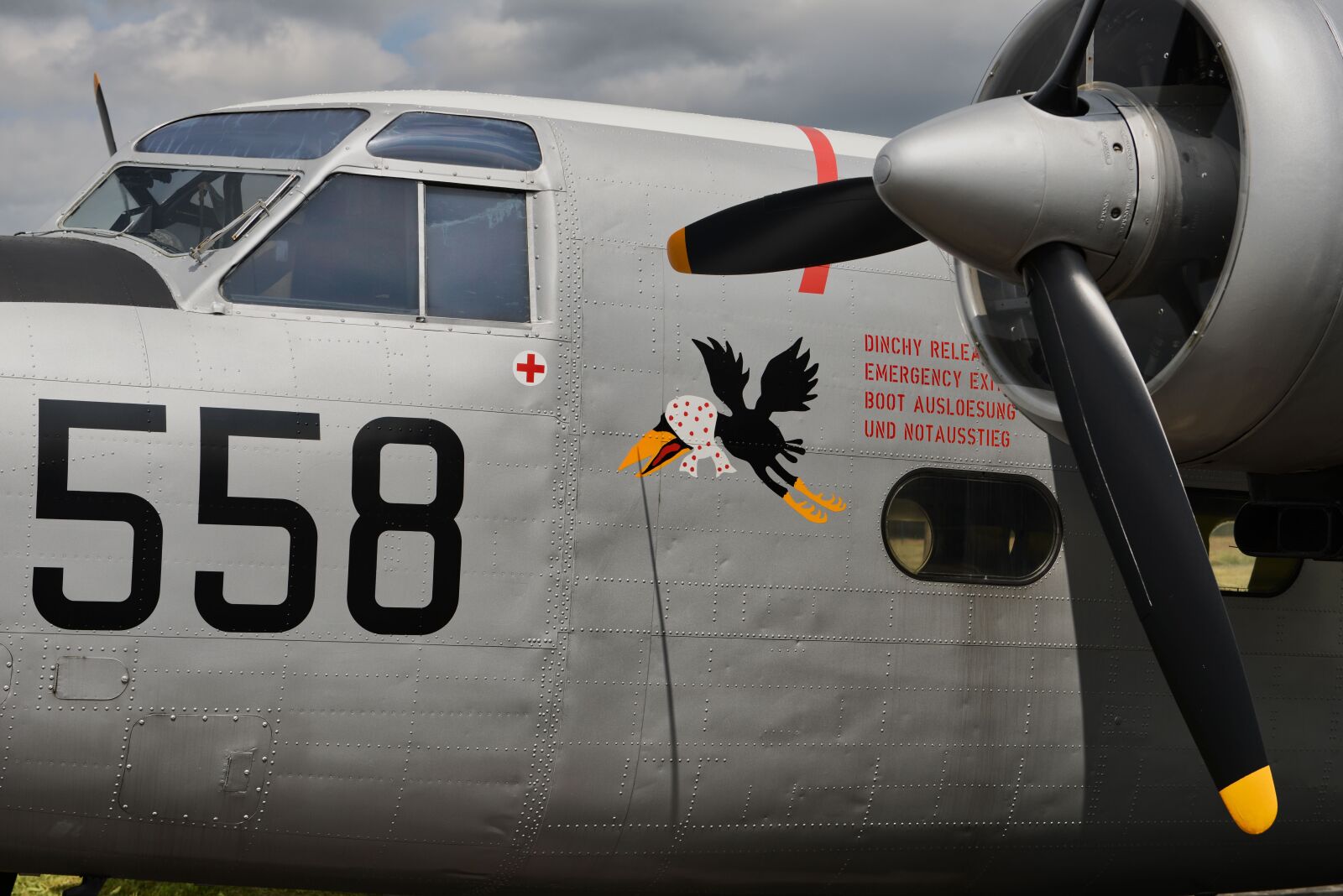 Nikon D800 sample photo. Aircraft, cockpit, flying photography