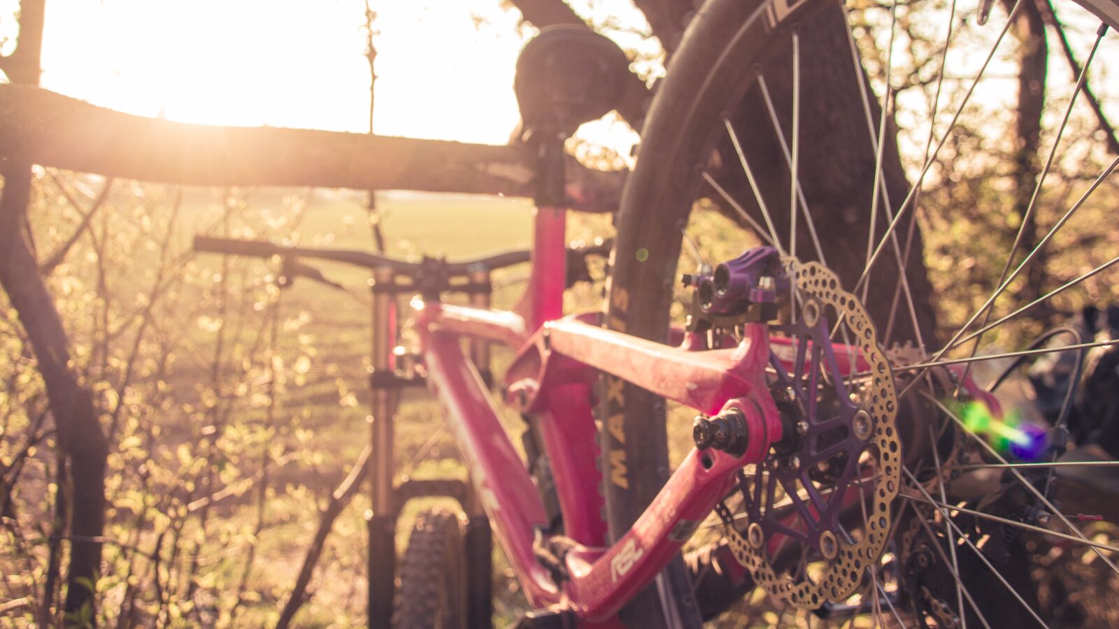 Canon EOS 100D (EOS Rebel SL1 / EOS Kiss X7) sample photo. Bike, sunset, downhill photography