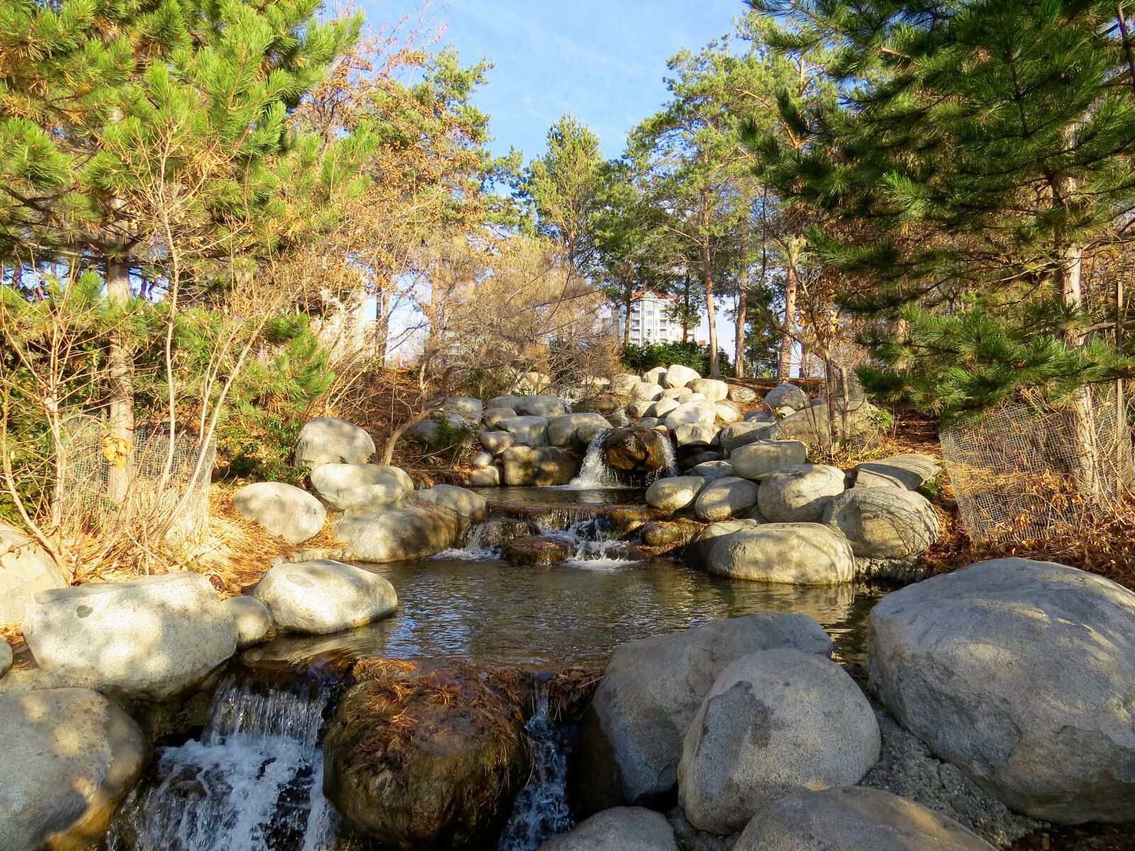 Canon PowerShot SX50 HS sample photo