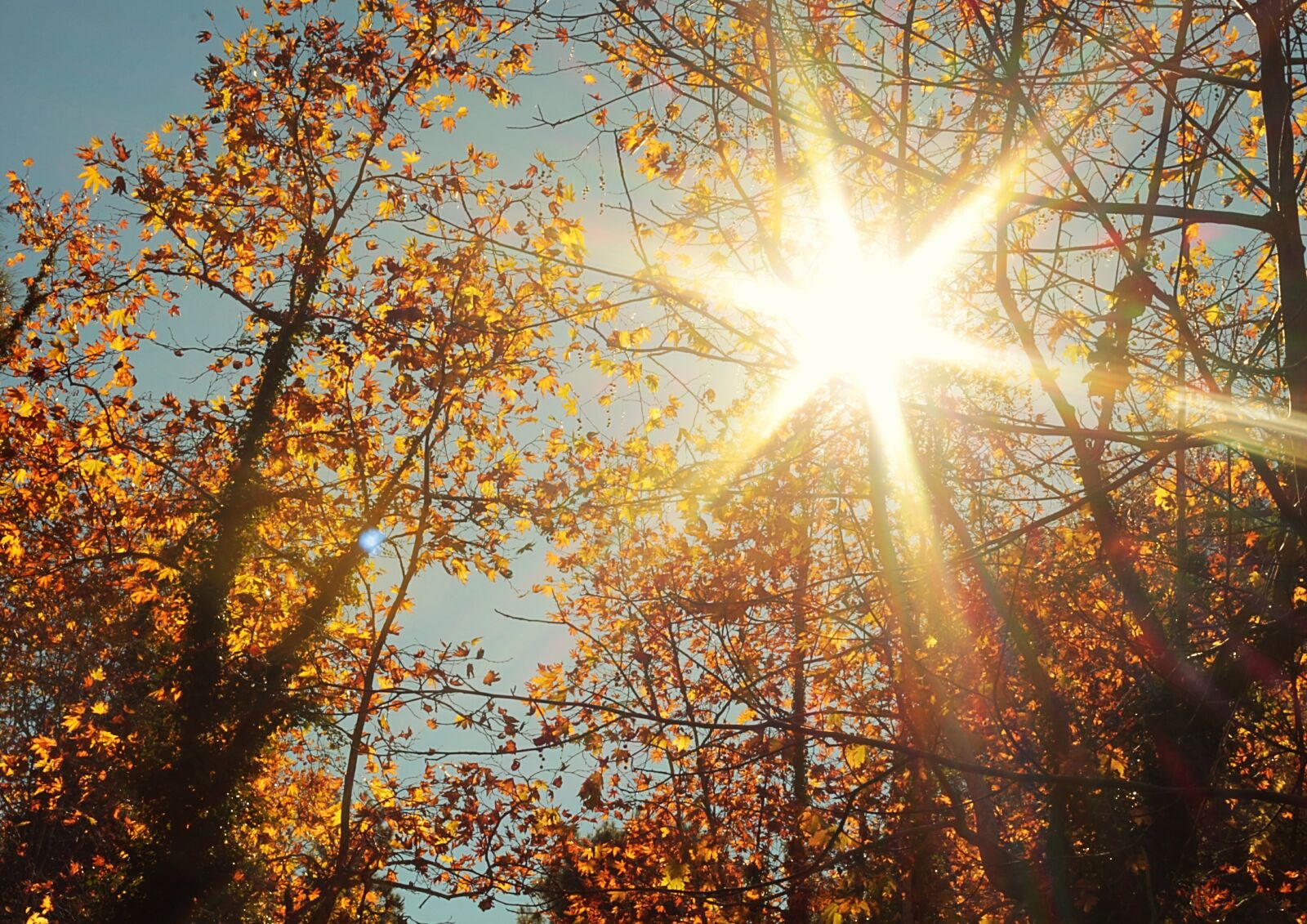 Canon EOS 650D (EOS Rebel T4i / EOS Kiss X6i) sample photo. Solar, nature, landscape photography