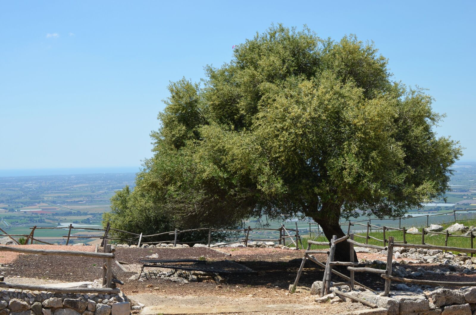 Nikon D5100 sample photo. Green, landscape, tree photography