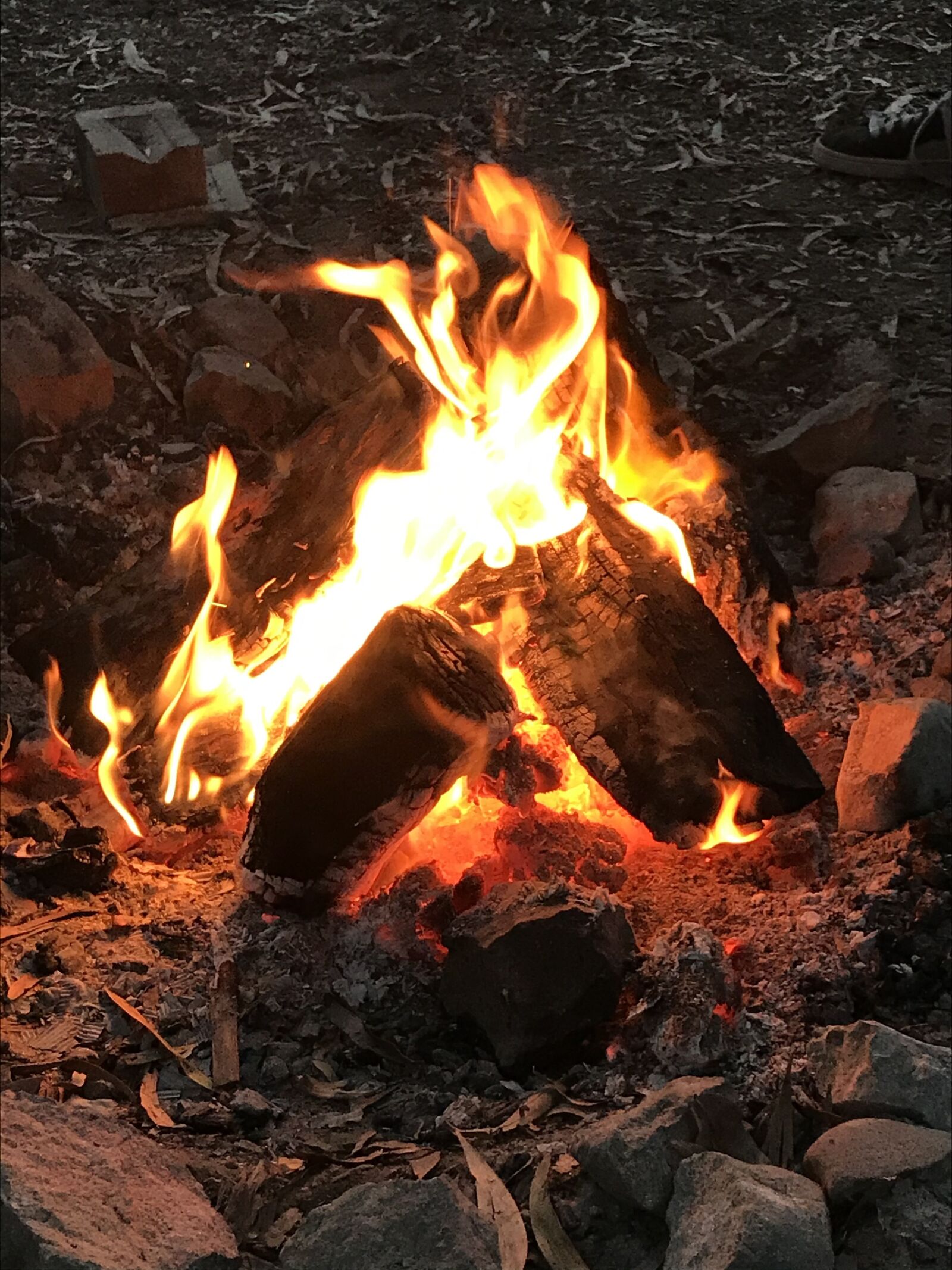 iPhone 7 back camera 3.99mm f/1.8 sample photo. Fire, campfire, camping photography