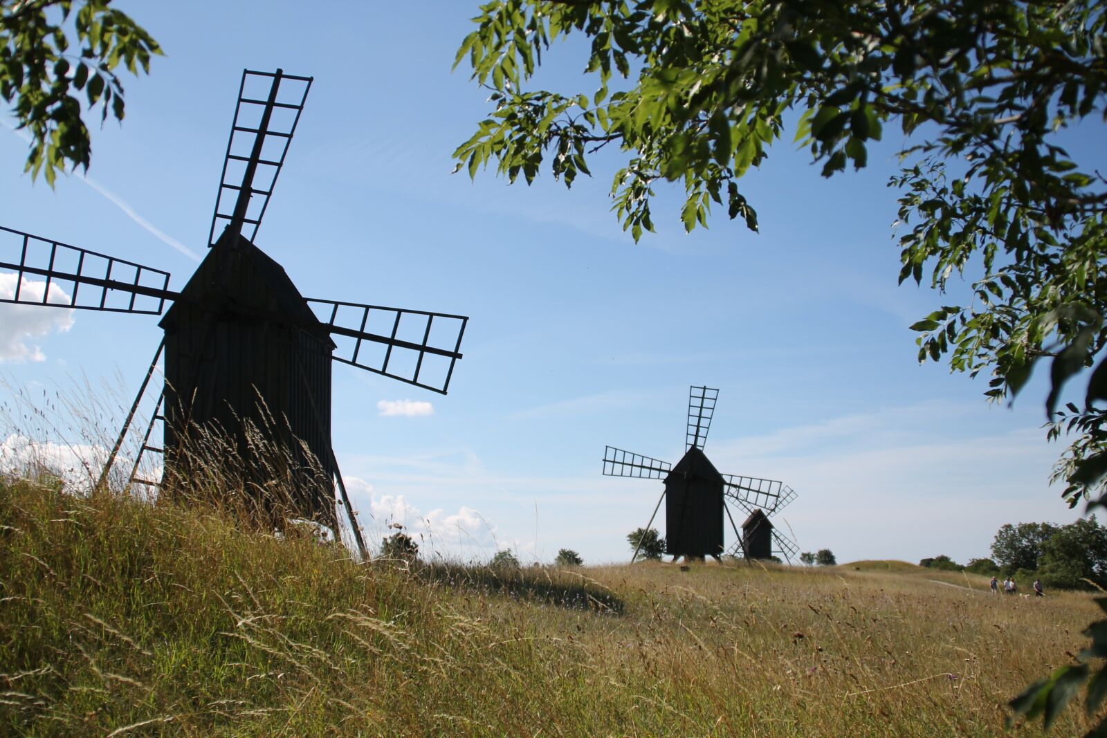 Canon EOS 1100D (EOS Rebel T3 / EOS Kiss X50) sample photo. Mill, sweden, öland photography