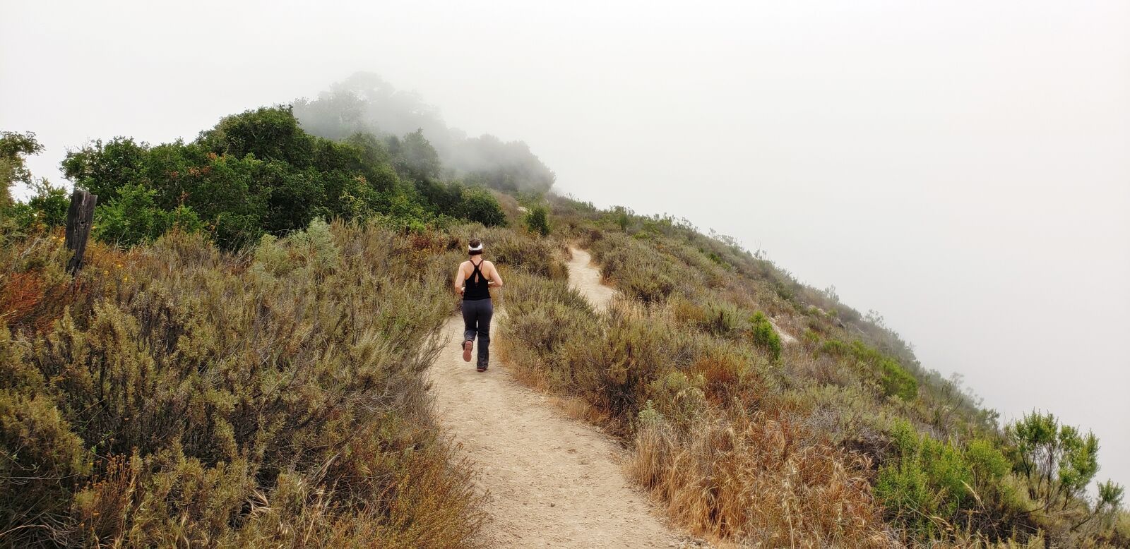 Samsung Galaxy Note9 sample photo. Hiking, trail, fog photography