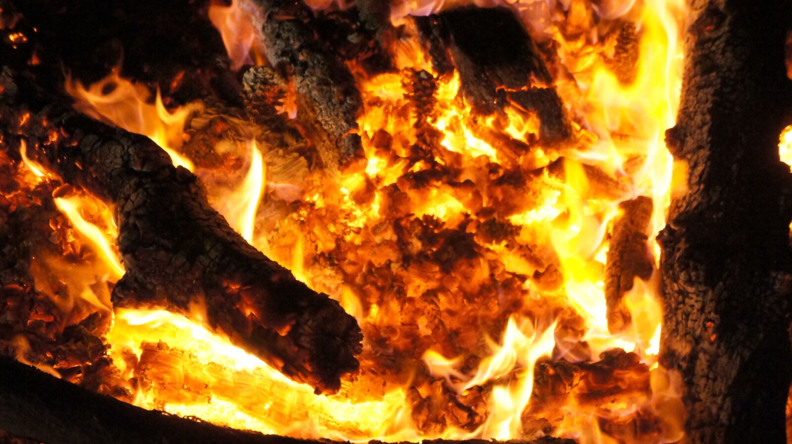 Sony Alpha NEX-5 sample photo. Fire, embers, ash photography