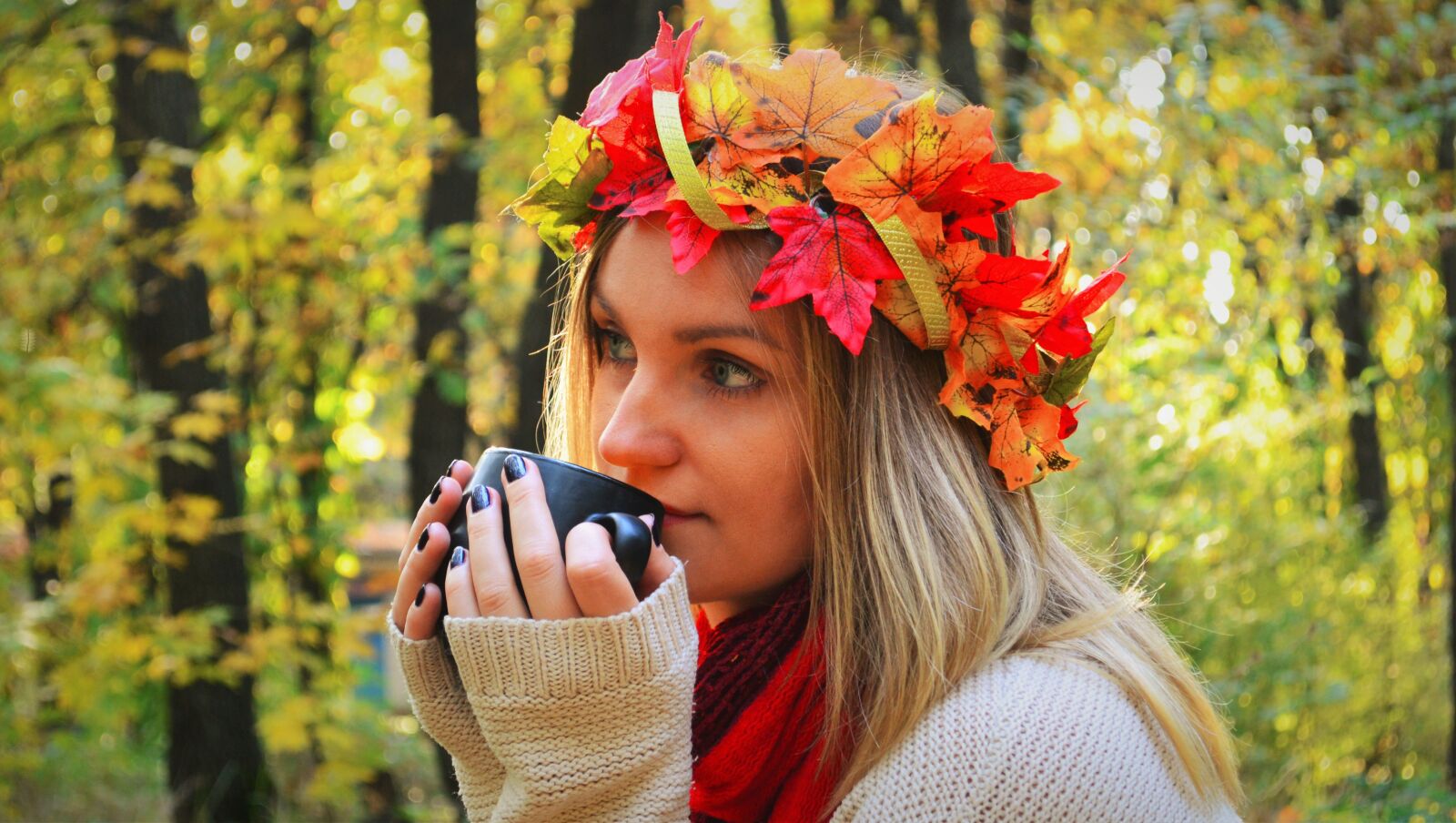 Nikon D3100 sample photo. Autumn, fall, leaf fall photography