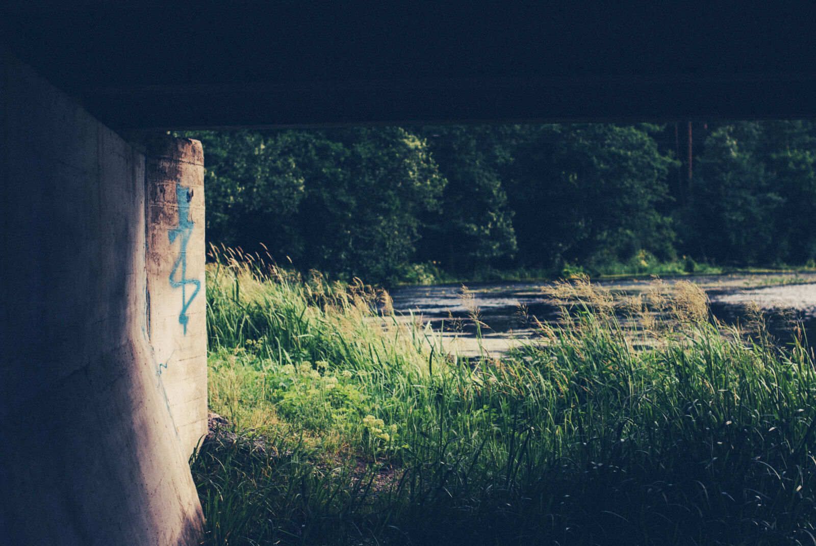Nikon D60 sample photo. Bridge, graffiti, under photography