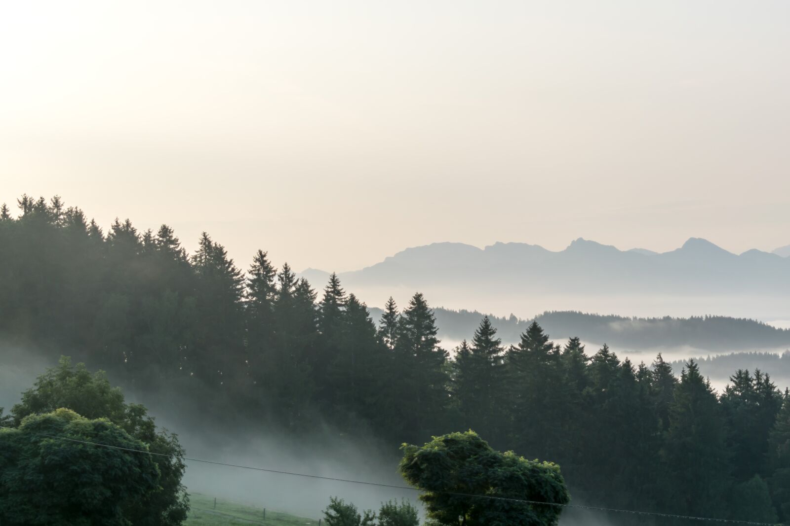 Nikon D5300 sample photo. Panorama, fog, mountains photography